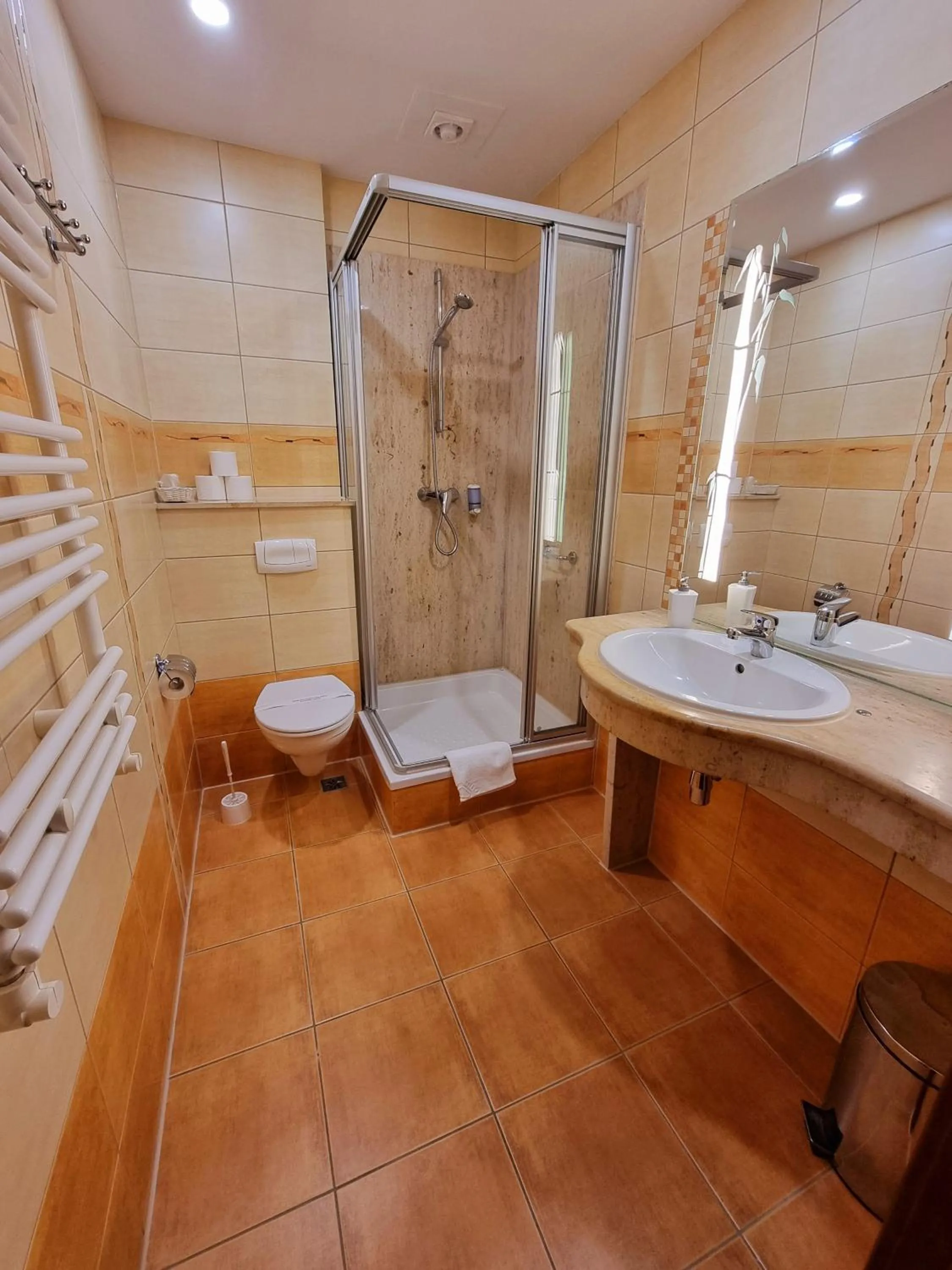 Shower in Malachit Karpacz SPA Hotel