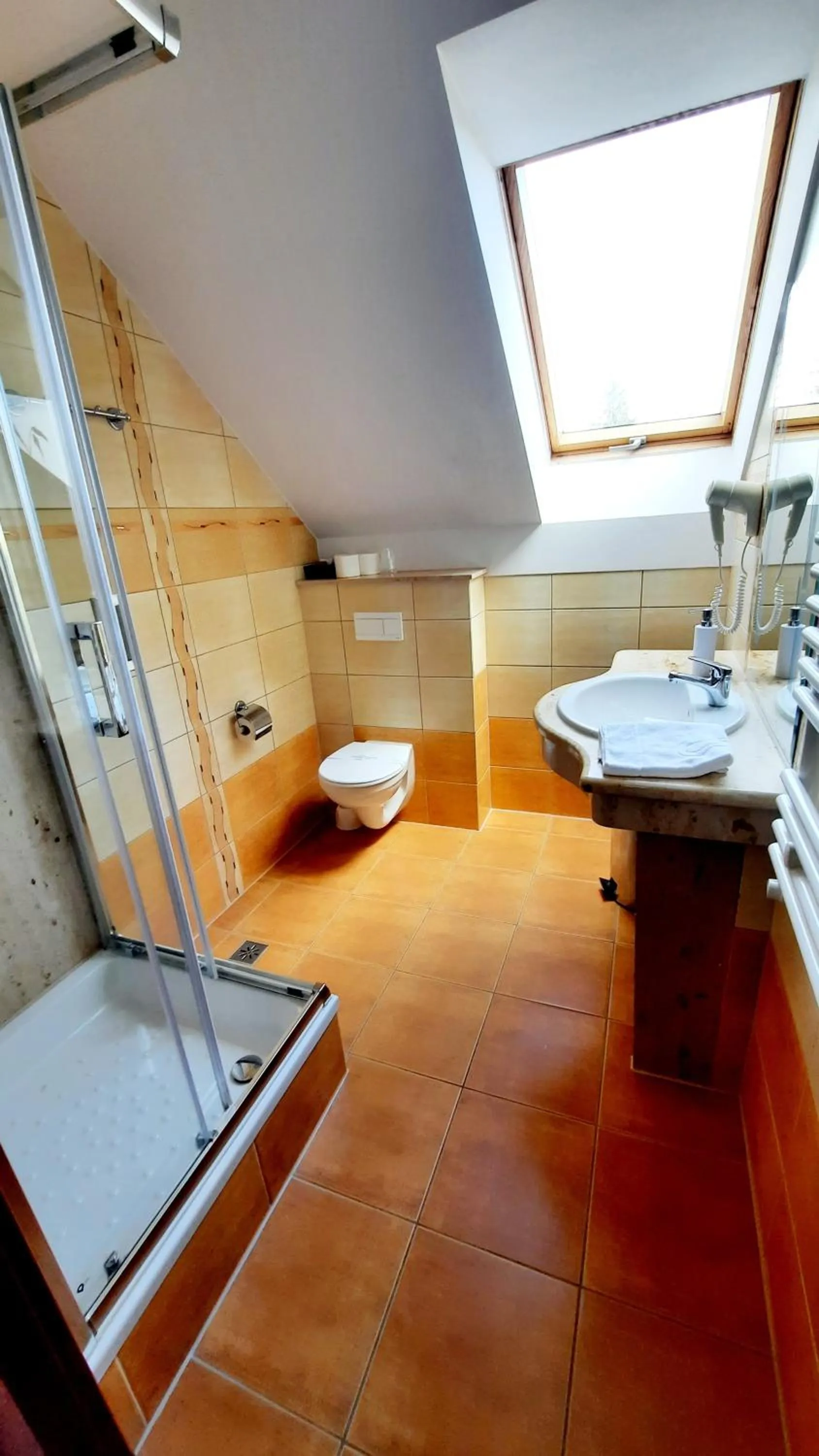 Shower in Malachit Karpacz SPA Hotel