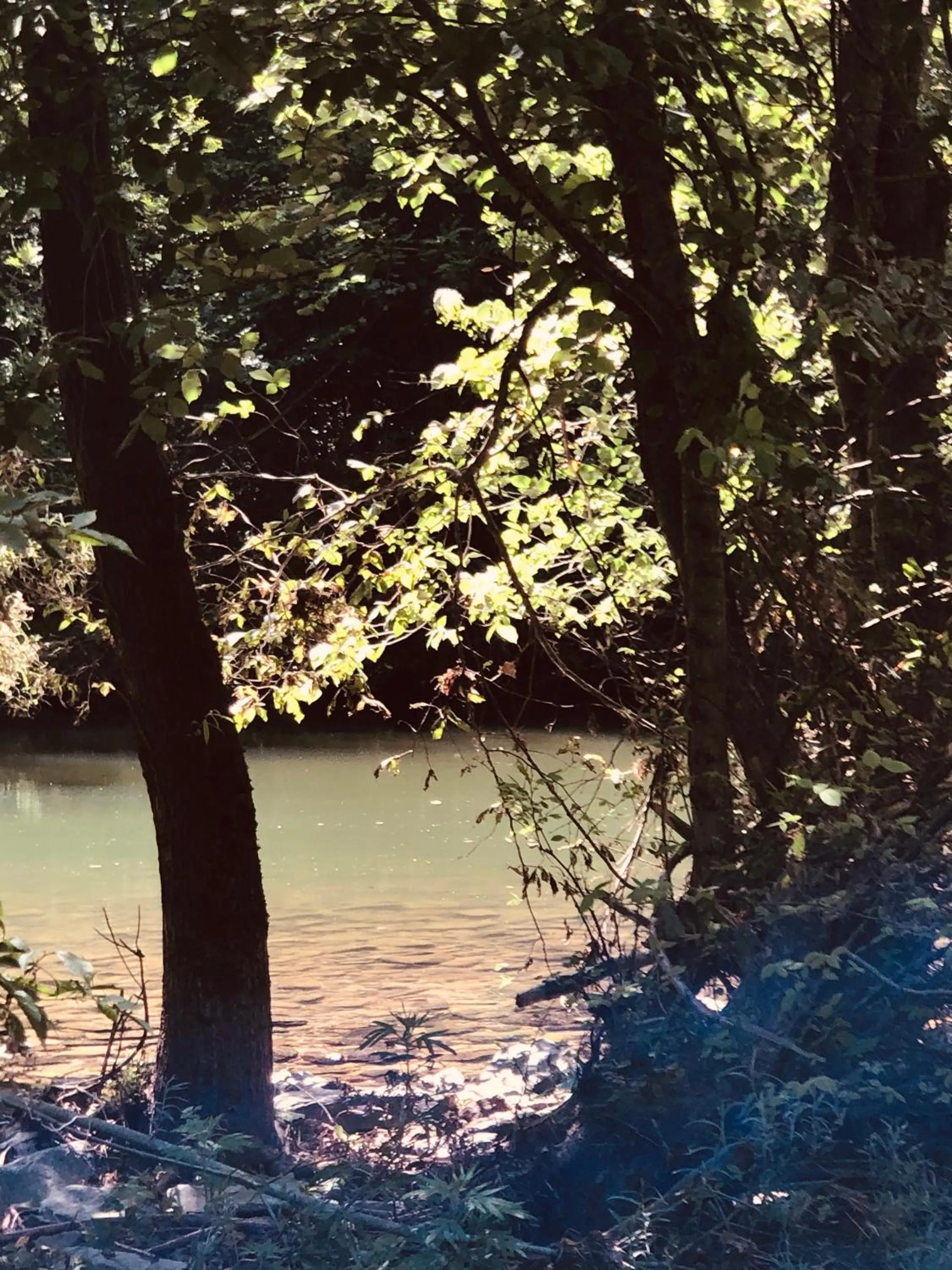 Beach in Hôtel Le Moulin D'Olt