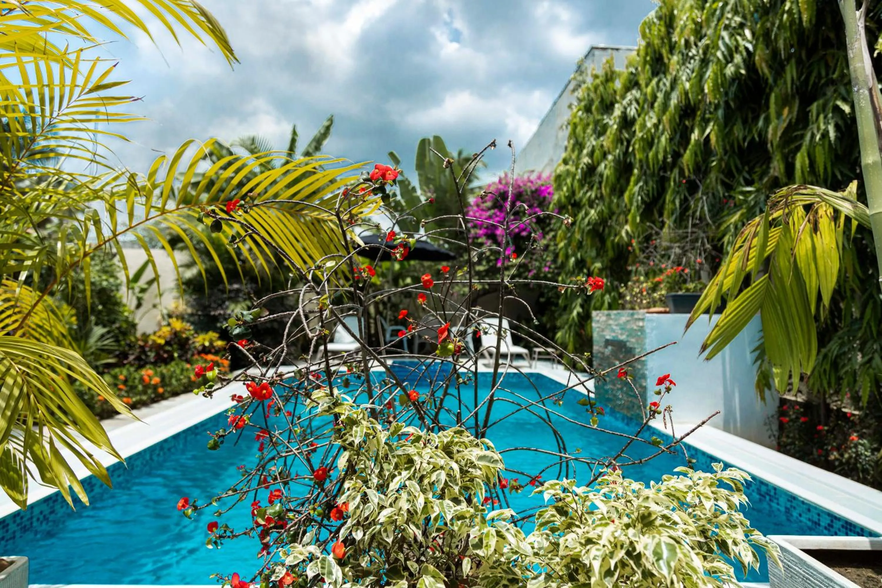 Swimming pool in Villa Jaddis