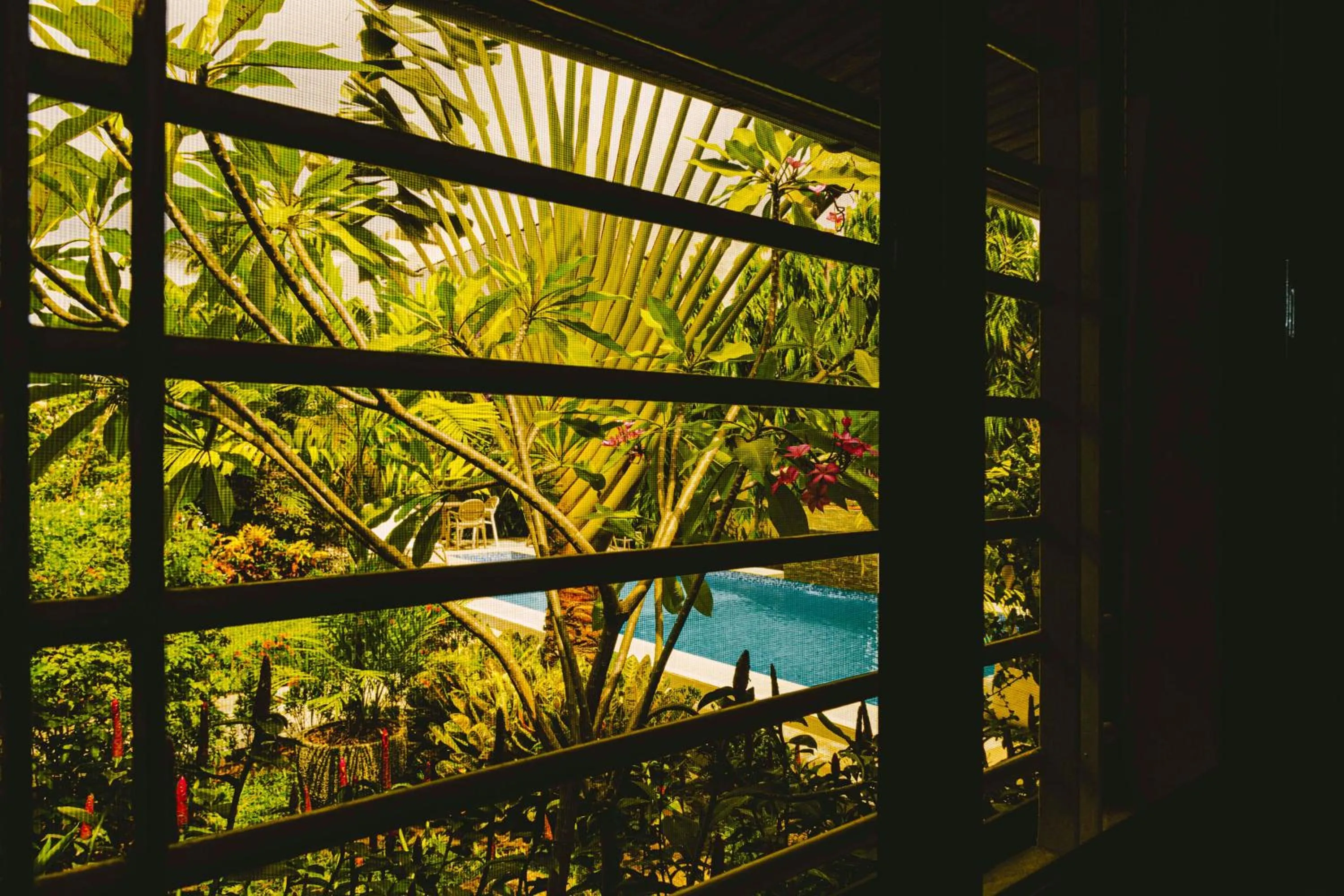 Garden view in Villa Jaddis