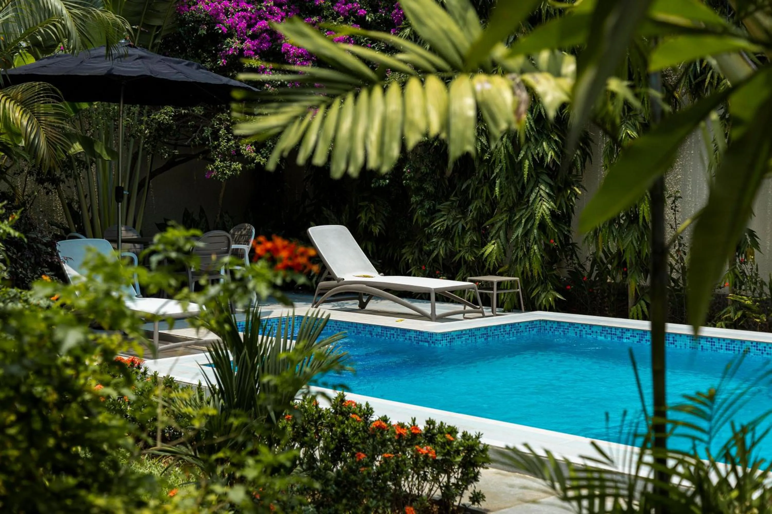 Swimming pool in Villa Jaddis