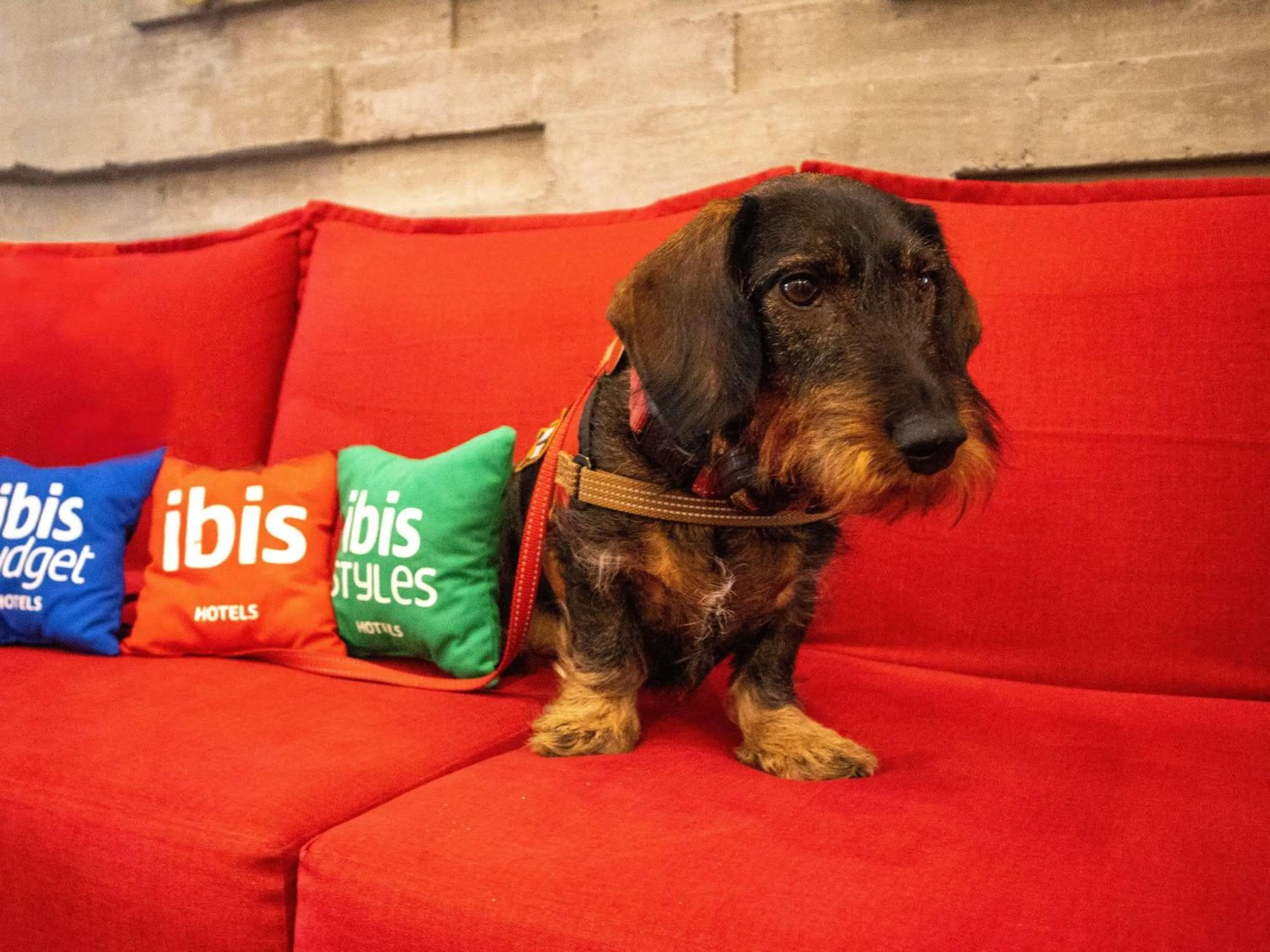 Property building in Ibis Merida