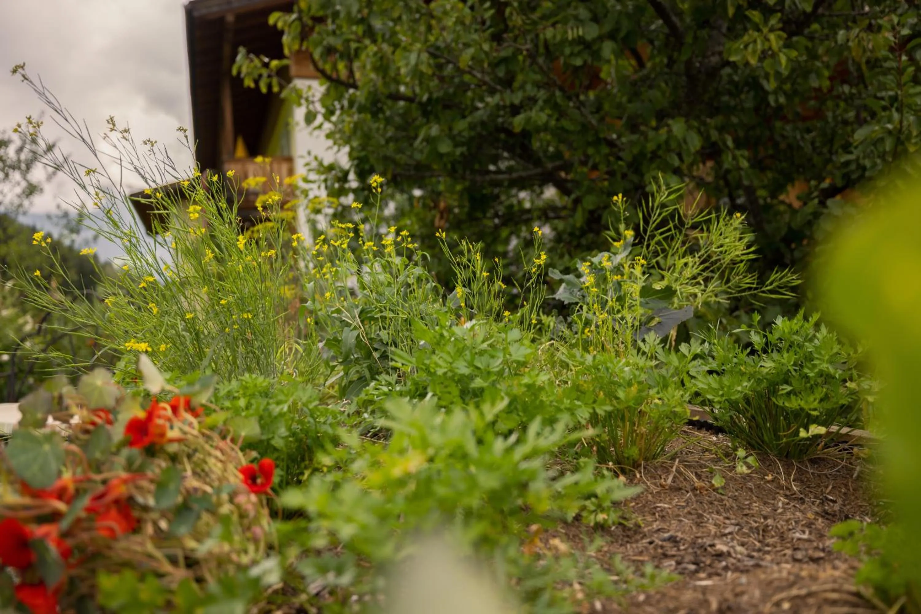 Garden in Ferienhotel Jörglerhof
