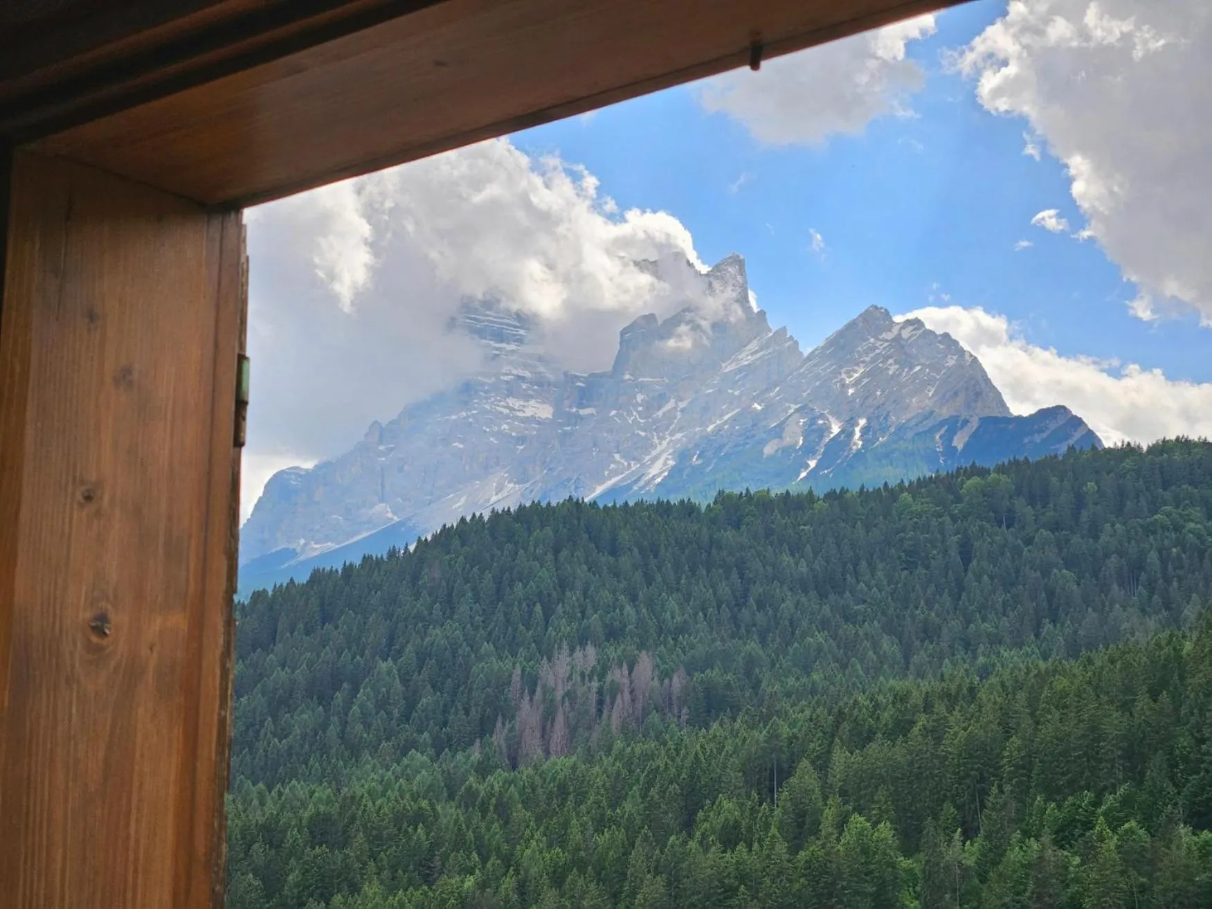 View (from property/room) in Best Western Hotel Nevada