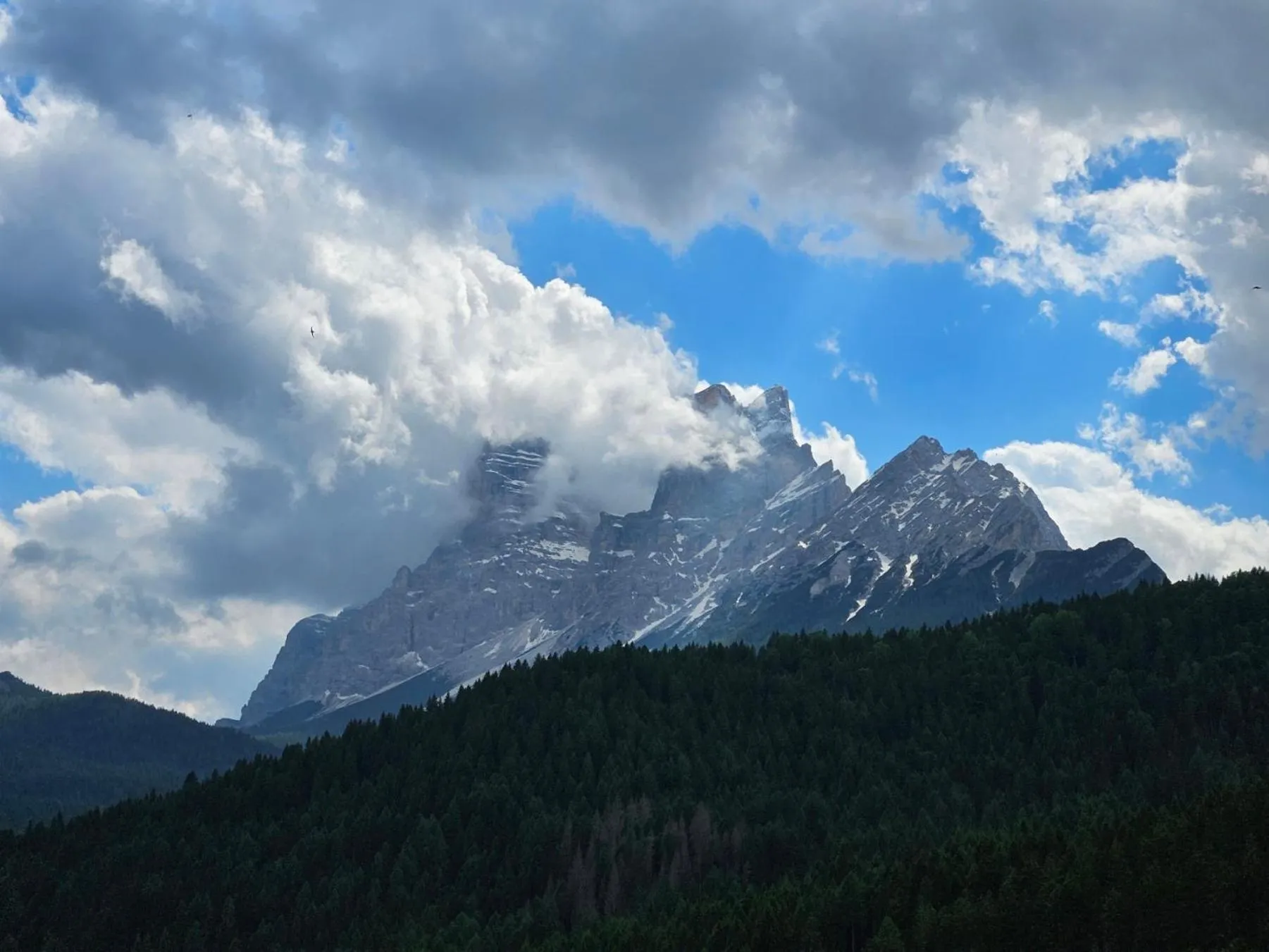 Day in Best Western Hotel Nevada