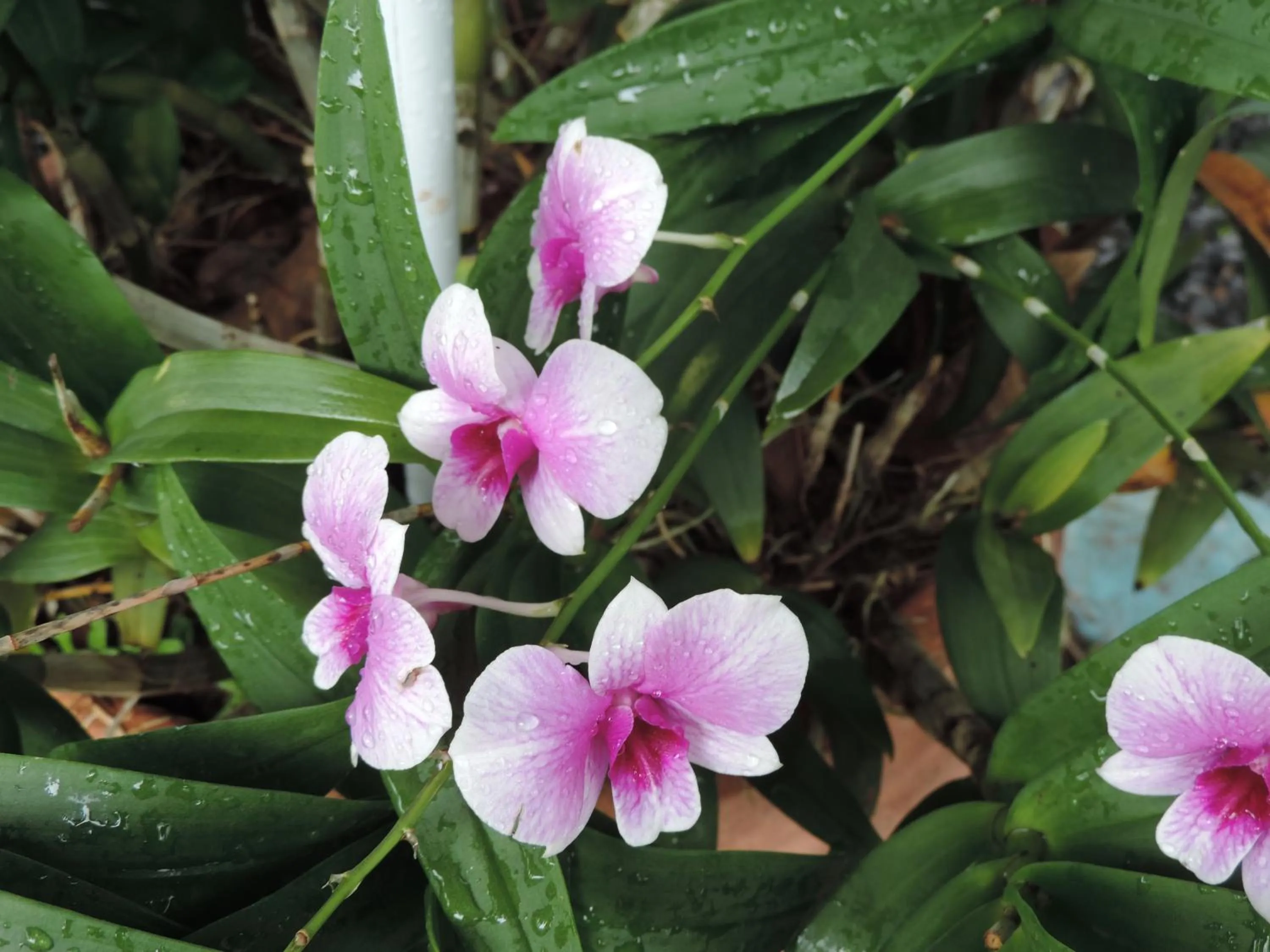Decorative detail in Blue Paradise Residence