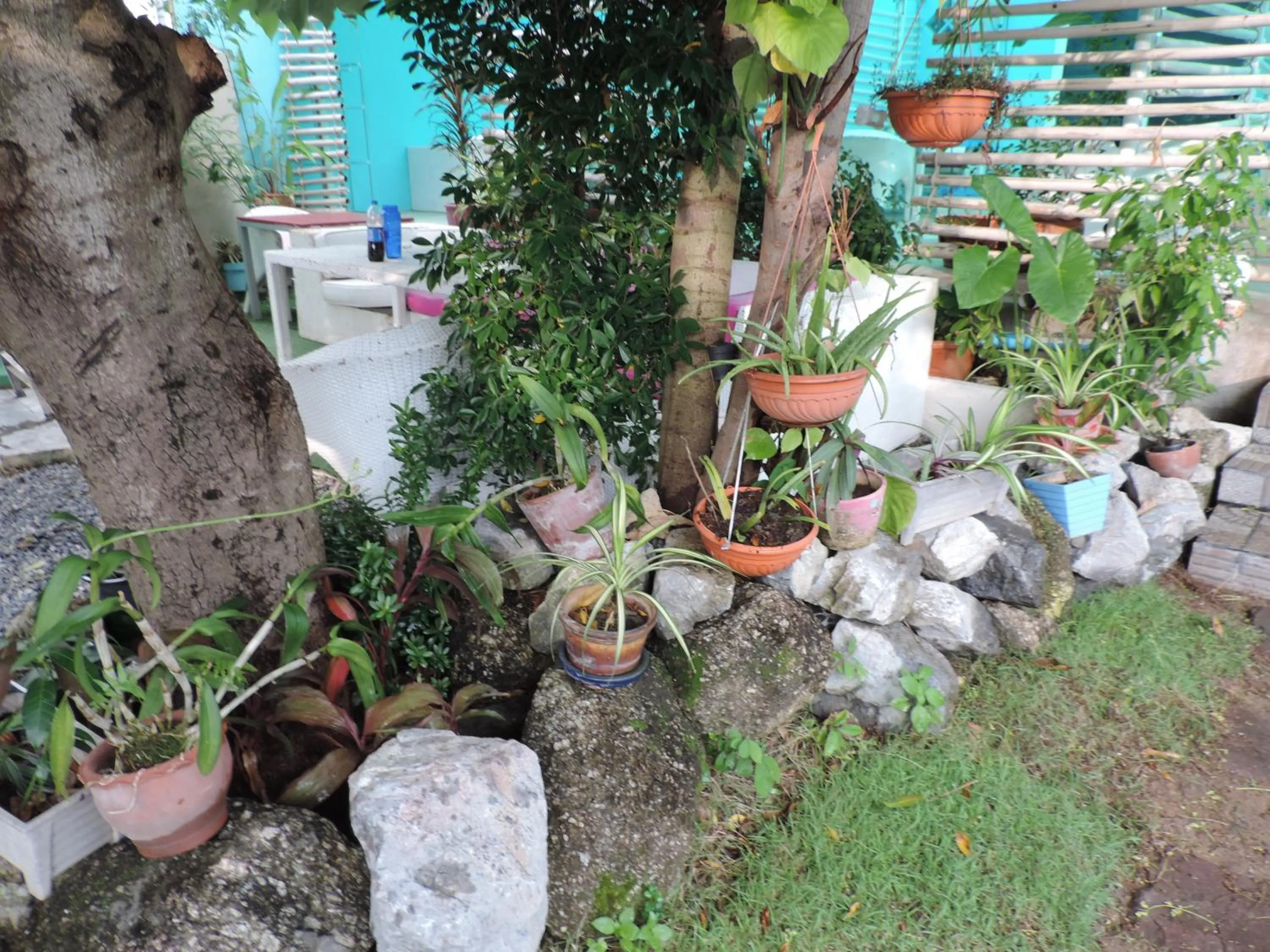 Blue Paradise Residence