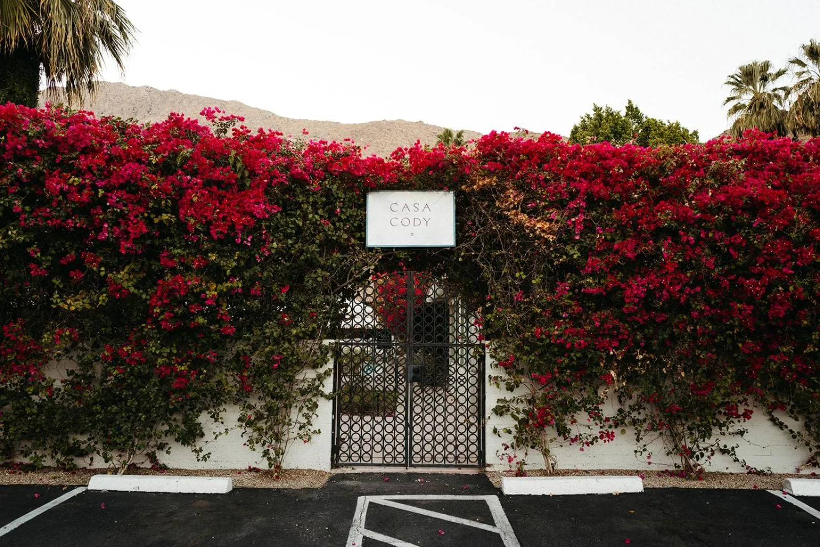 Property building in Casa Cody