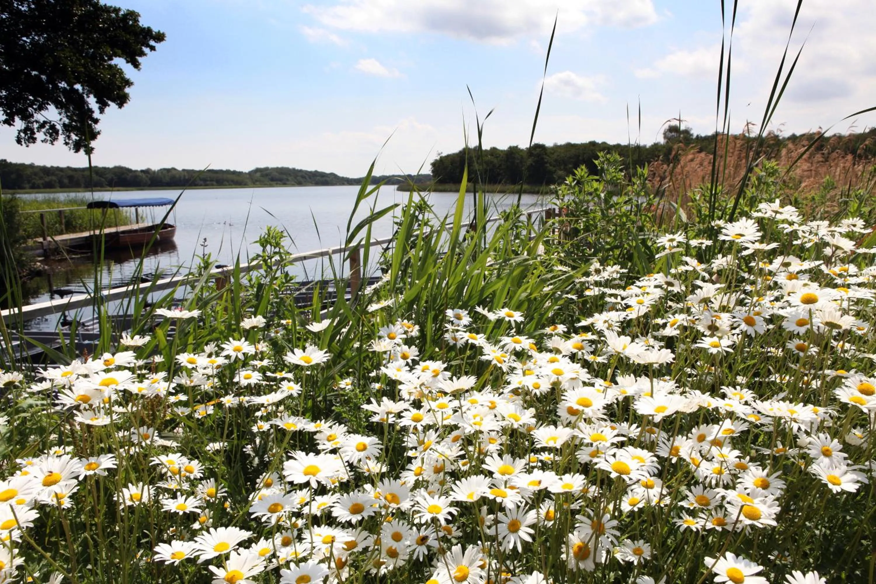 Property building in The Boathouse
