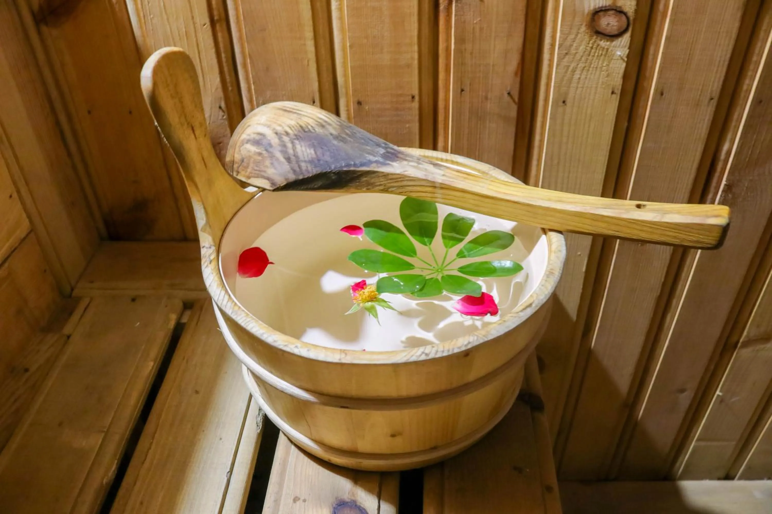 Sauna in Hotel Moonlight