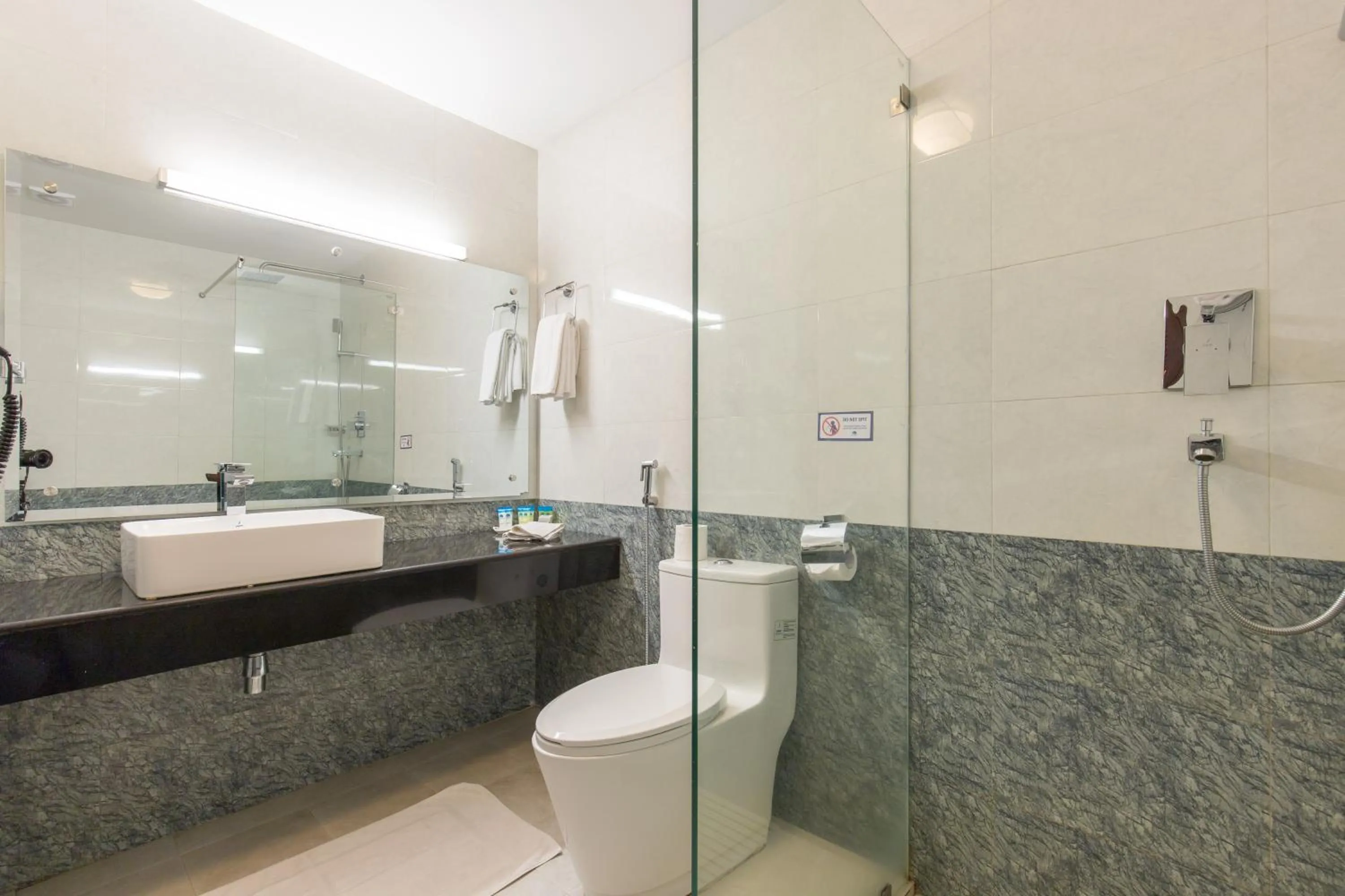 Shower in Hotel Moonlight