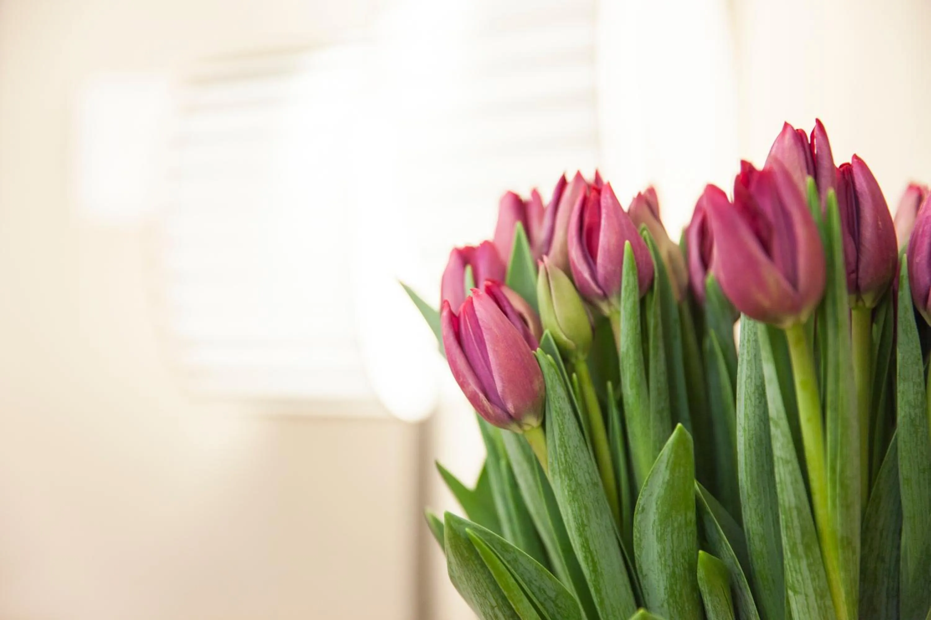 Decorative detail in Casa Fabbrini Fancy Suites