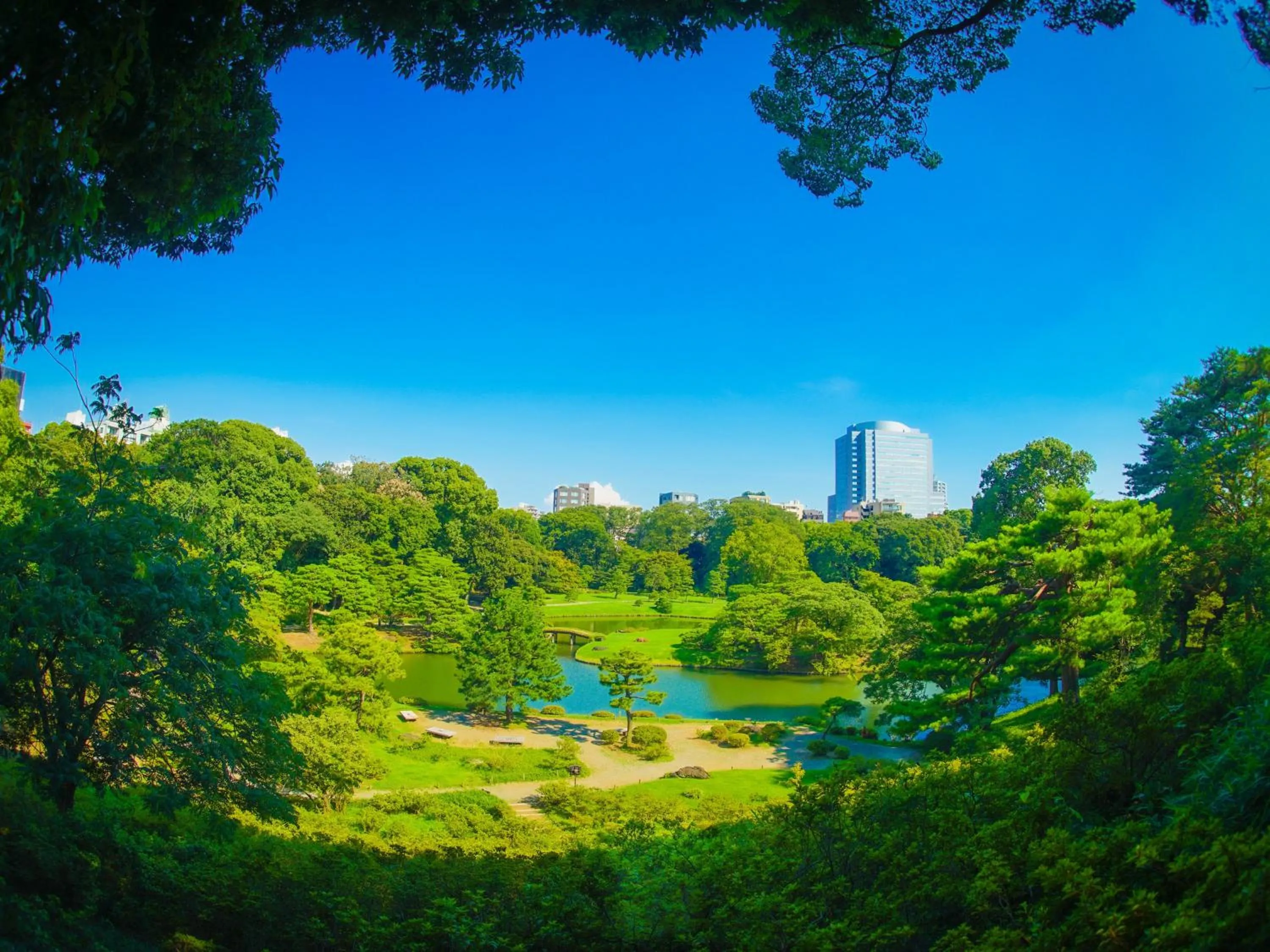 Off site in Hotel Resol Ikebukuro