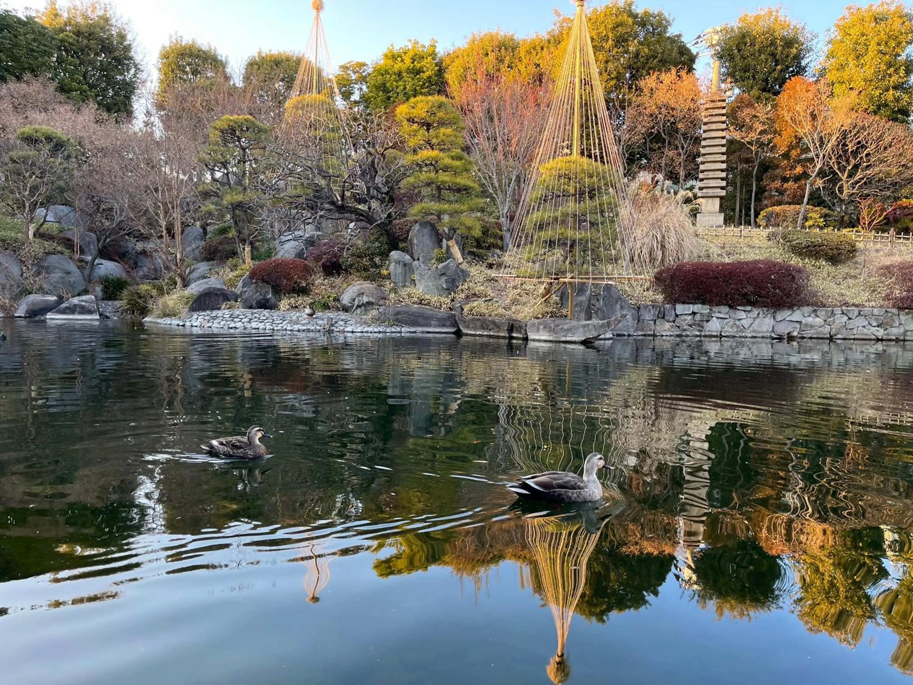 Off site in Hotel Resol Ikebukuro