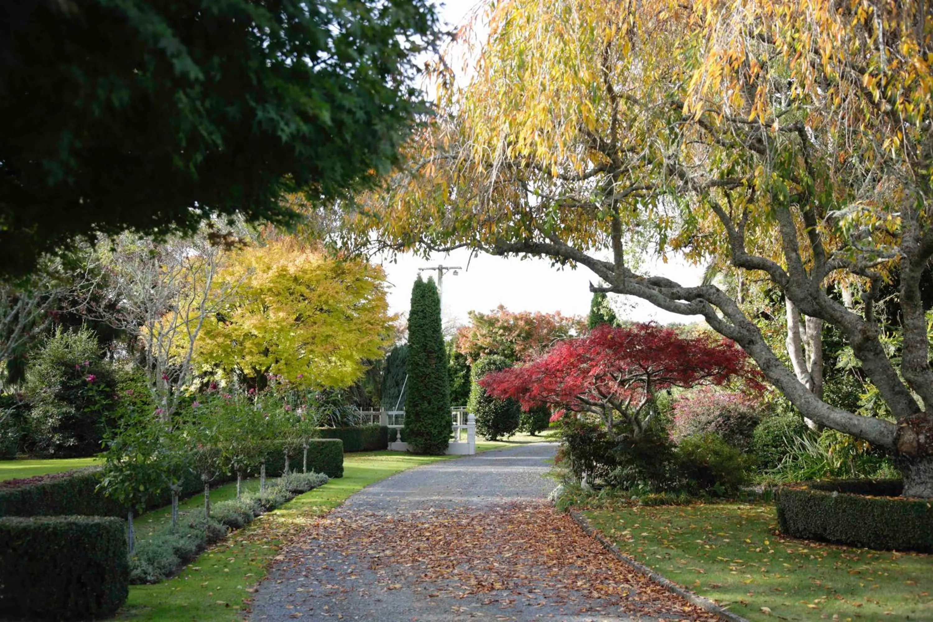 Garden in Somersal Bed & Breakfast