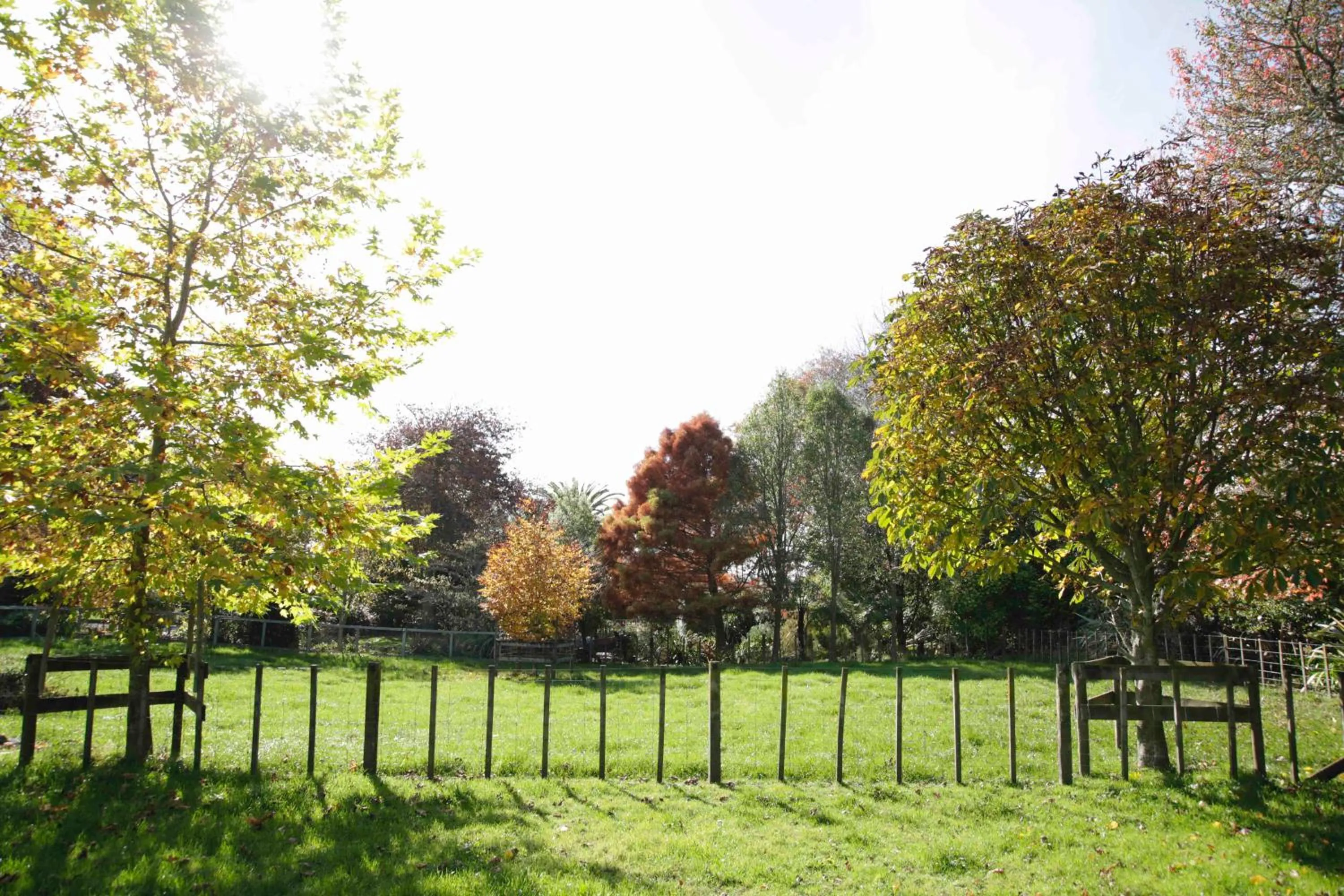 Natural landscape in Somersal Bed & Breakfast