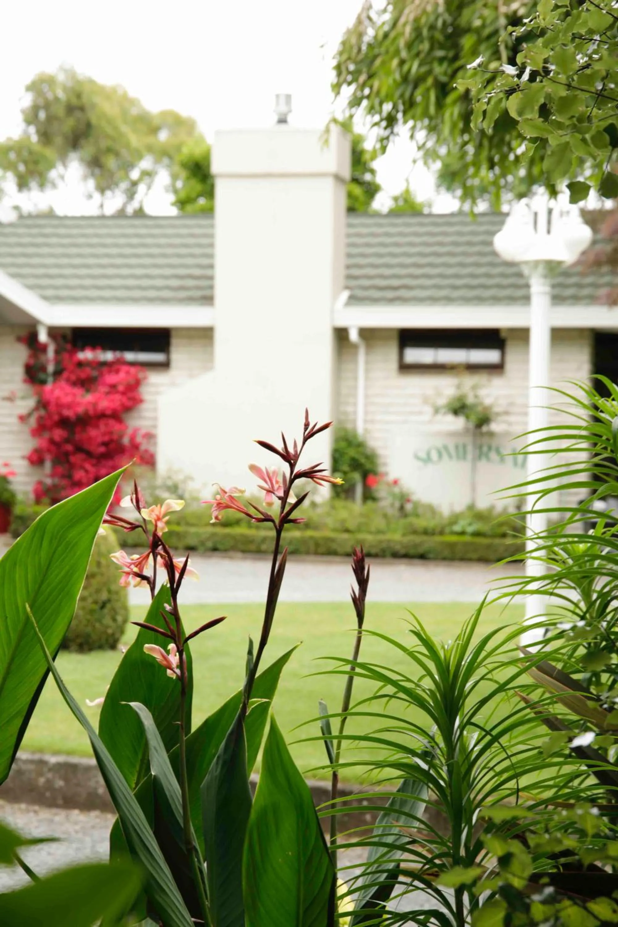 Garden in Somersal Bed & Breakfast