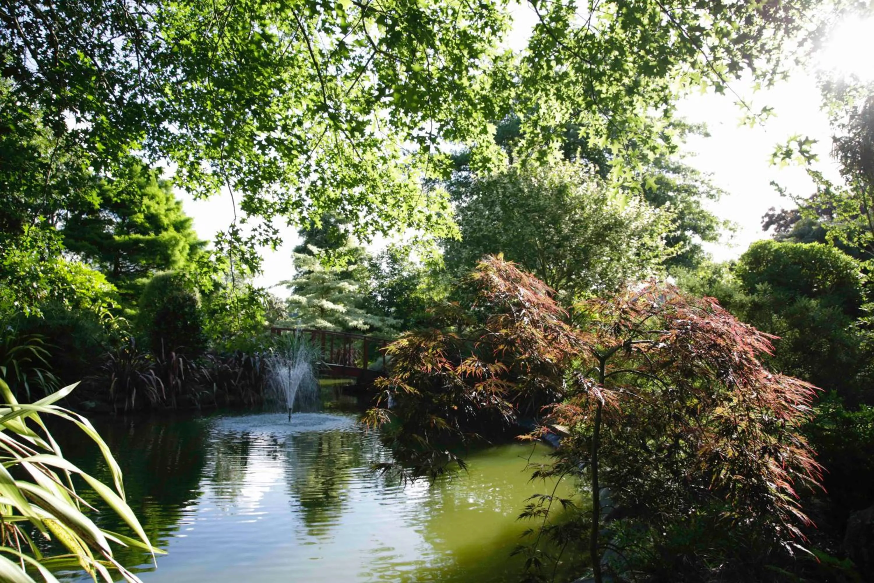 Natural landscape in Somersal Bed & Breakfast