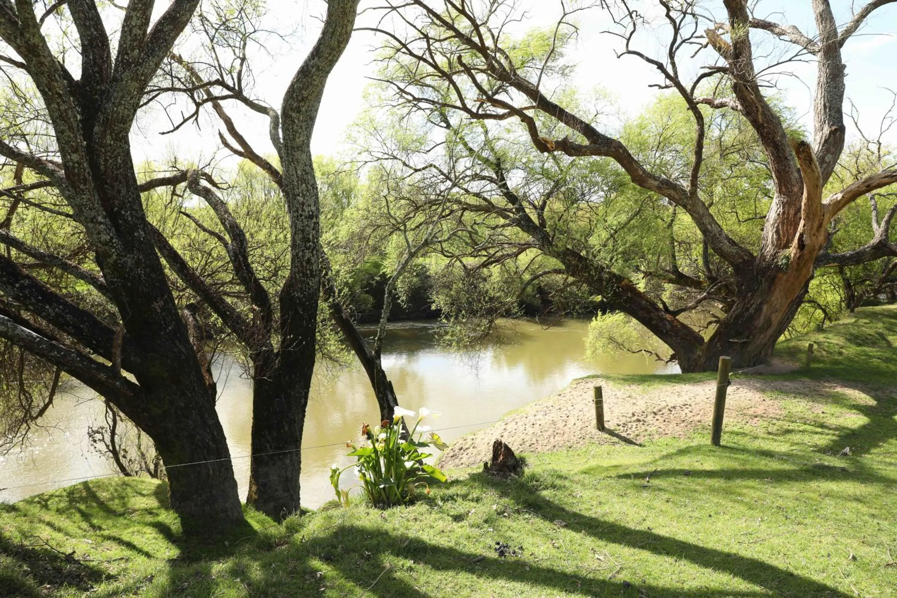 Natural landscape in Somersal Bed & Breakfast