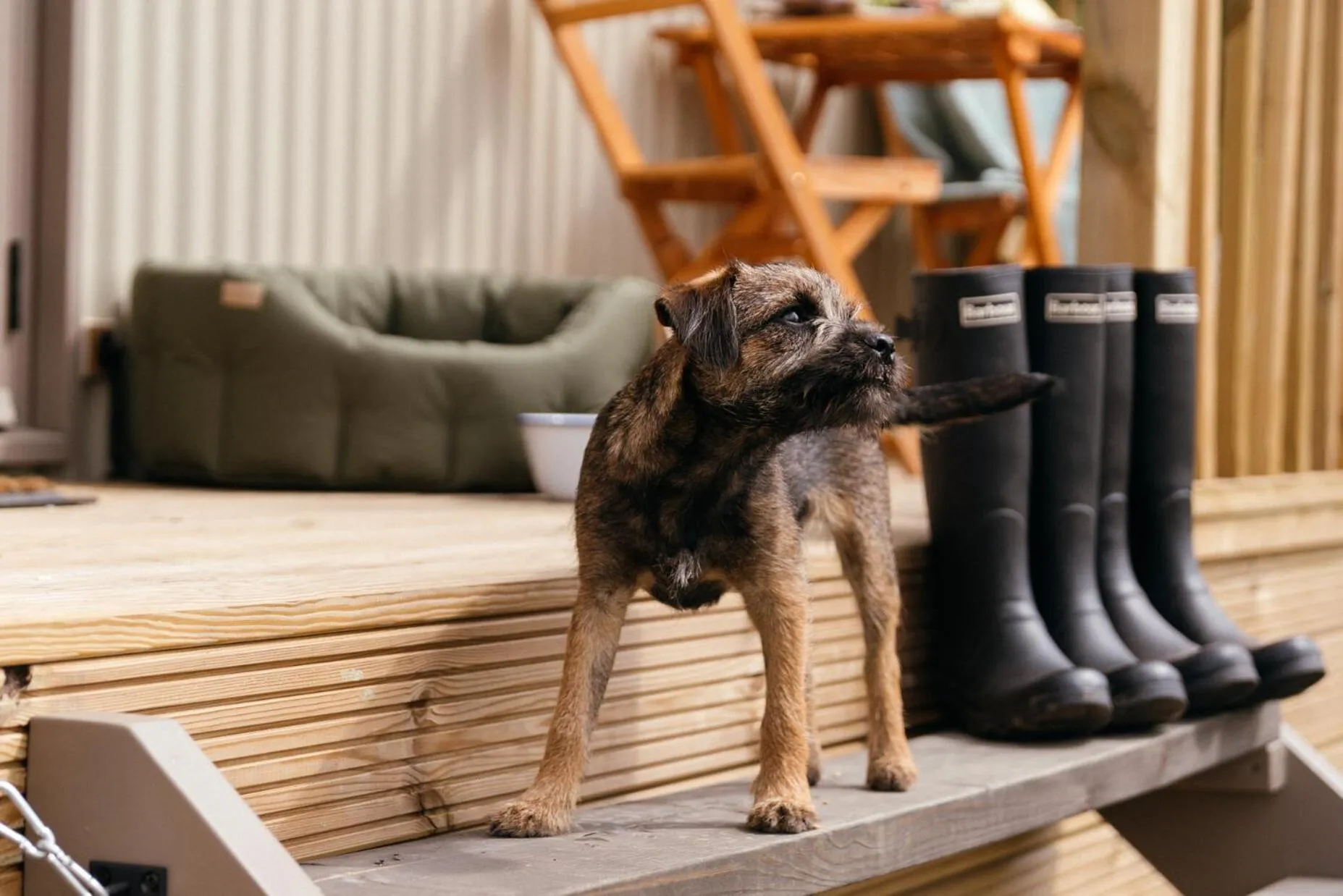 Pets in Retreat East