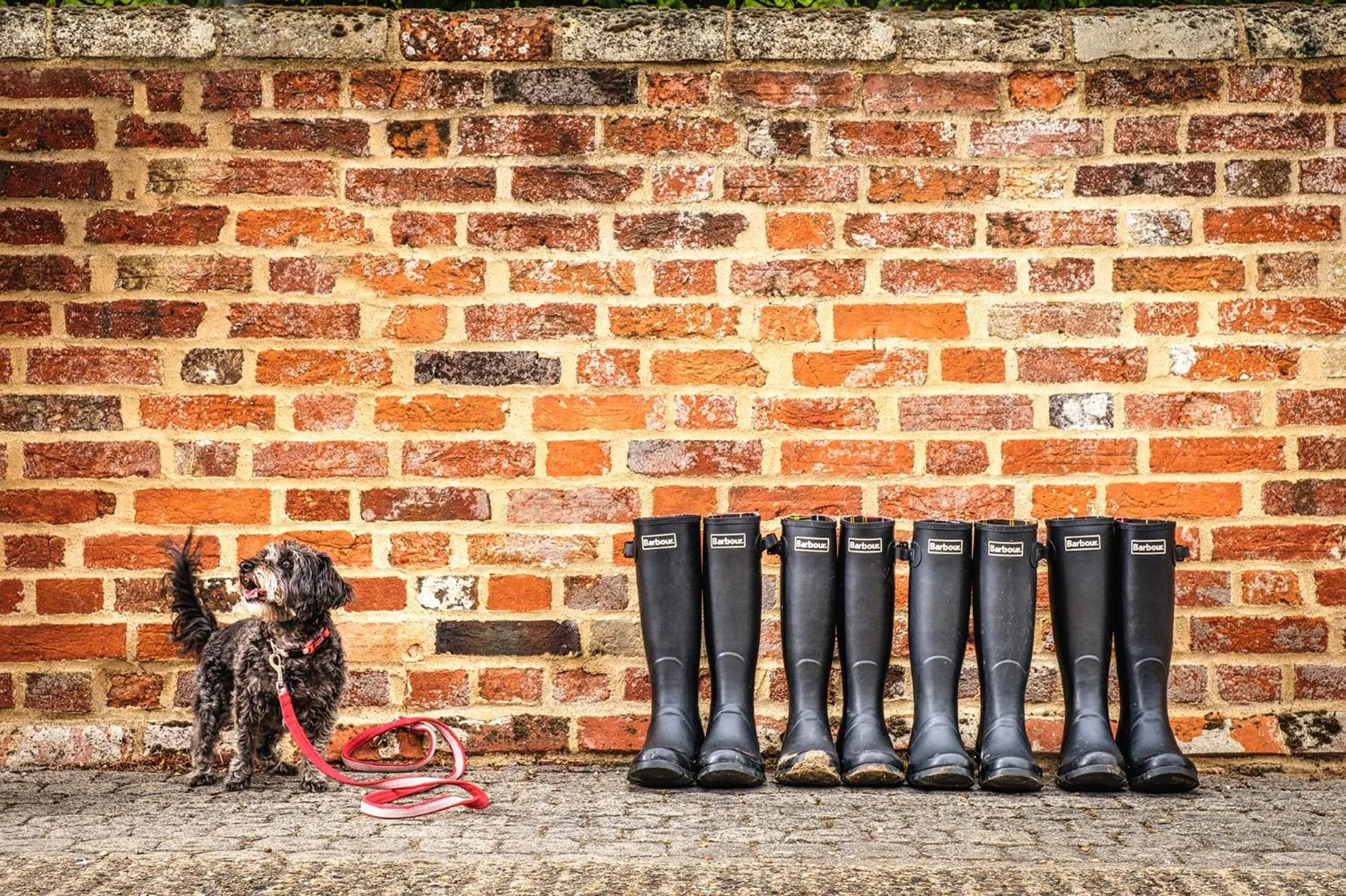 Pets in Retreat East