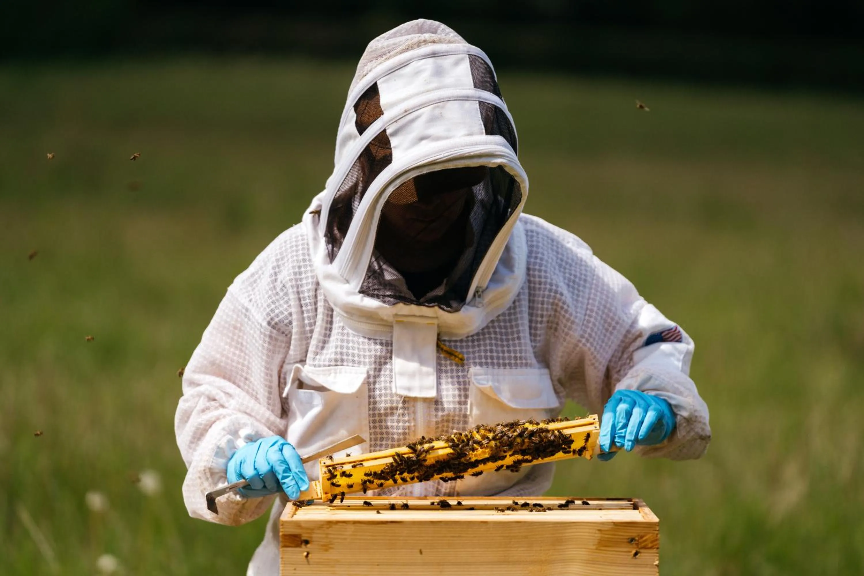 Natural landscape in Retreat East
