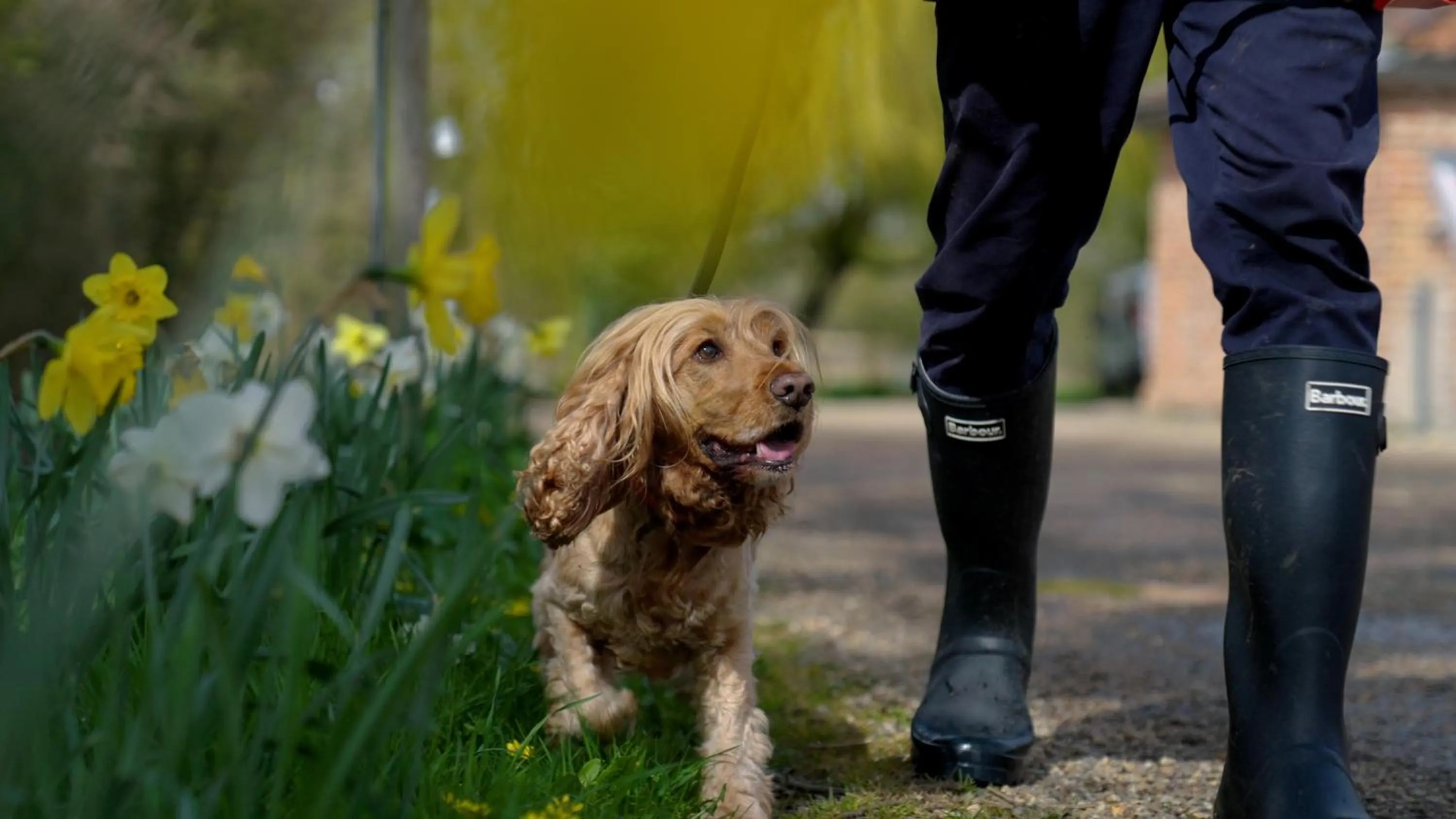 Pets in Retreat East