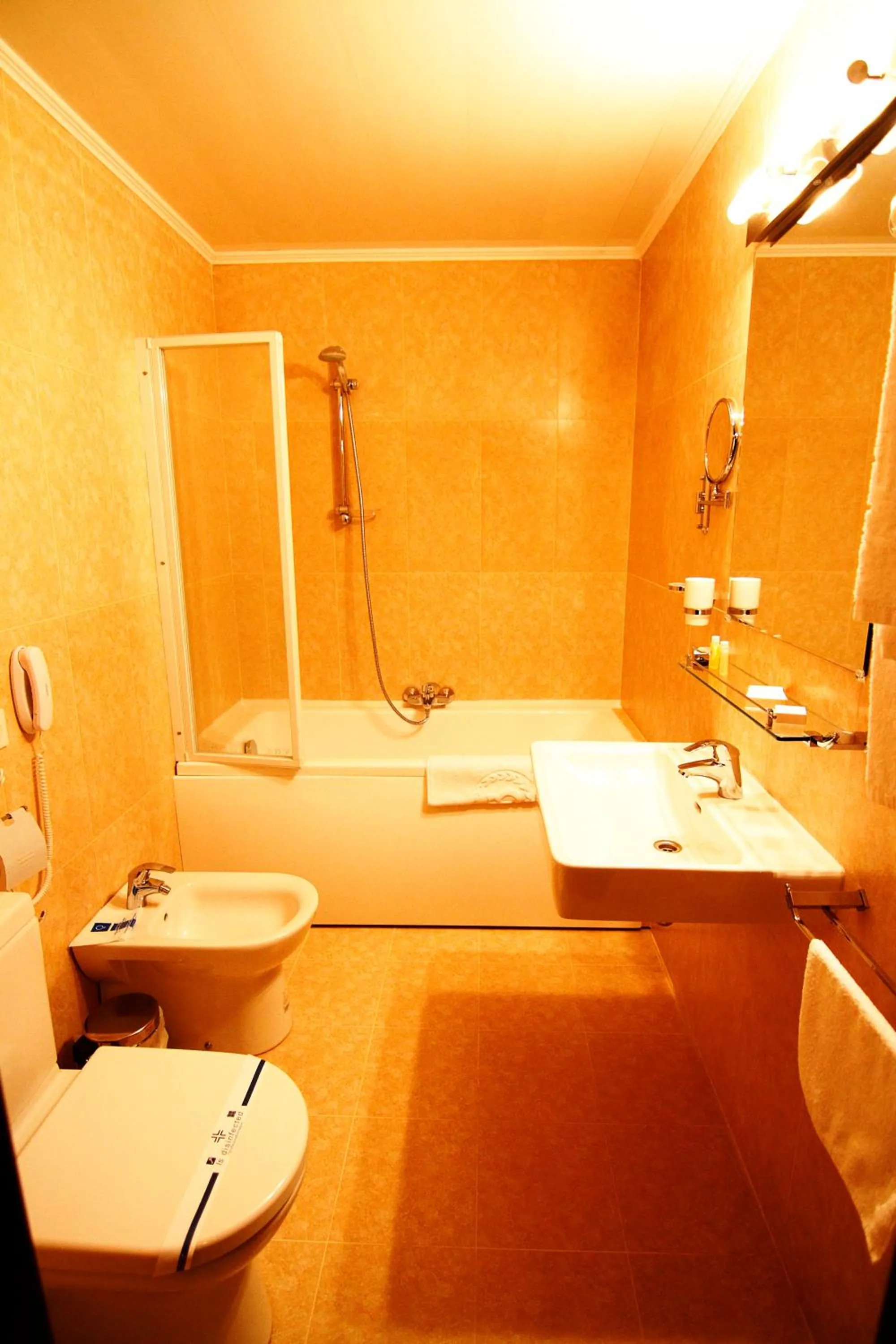 Bathroom in Britaniya