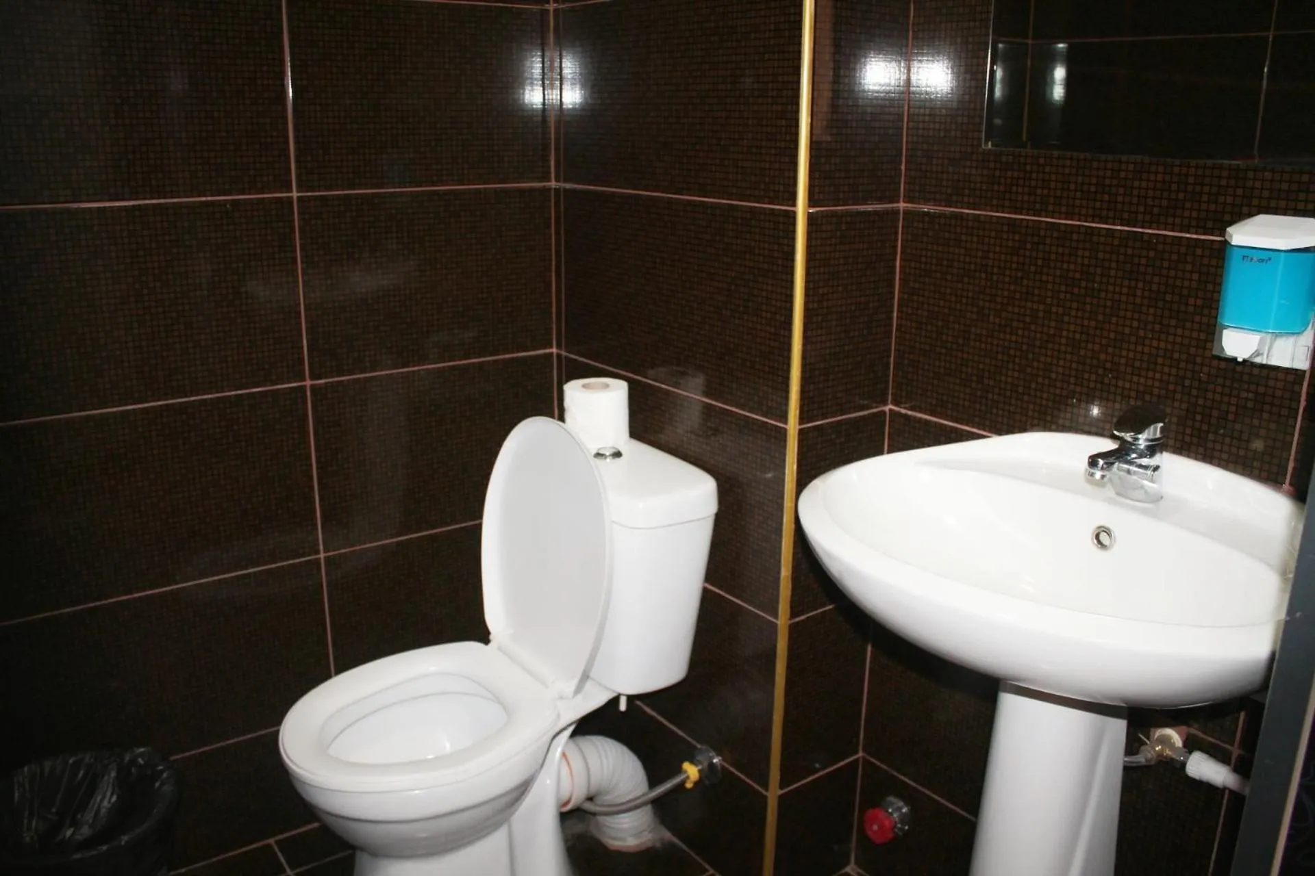 Double Room with Private Bathroom in Hotel NOA Kazbegi