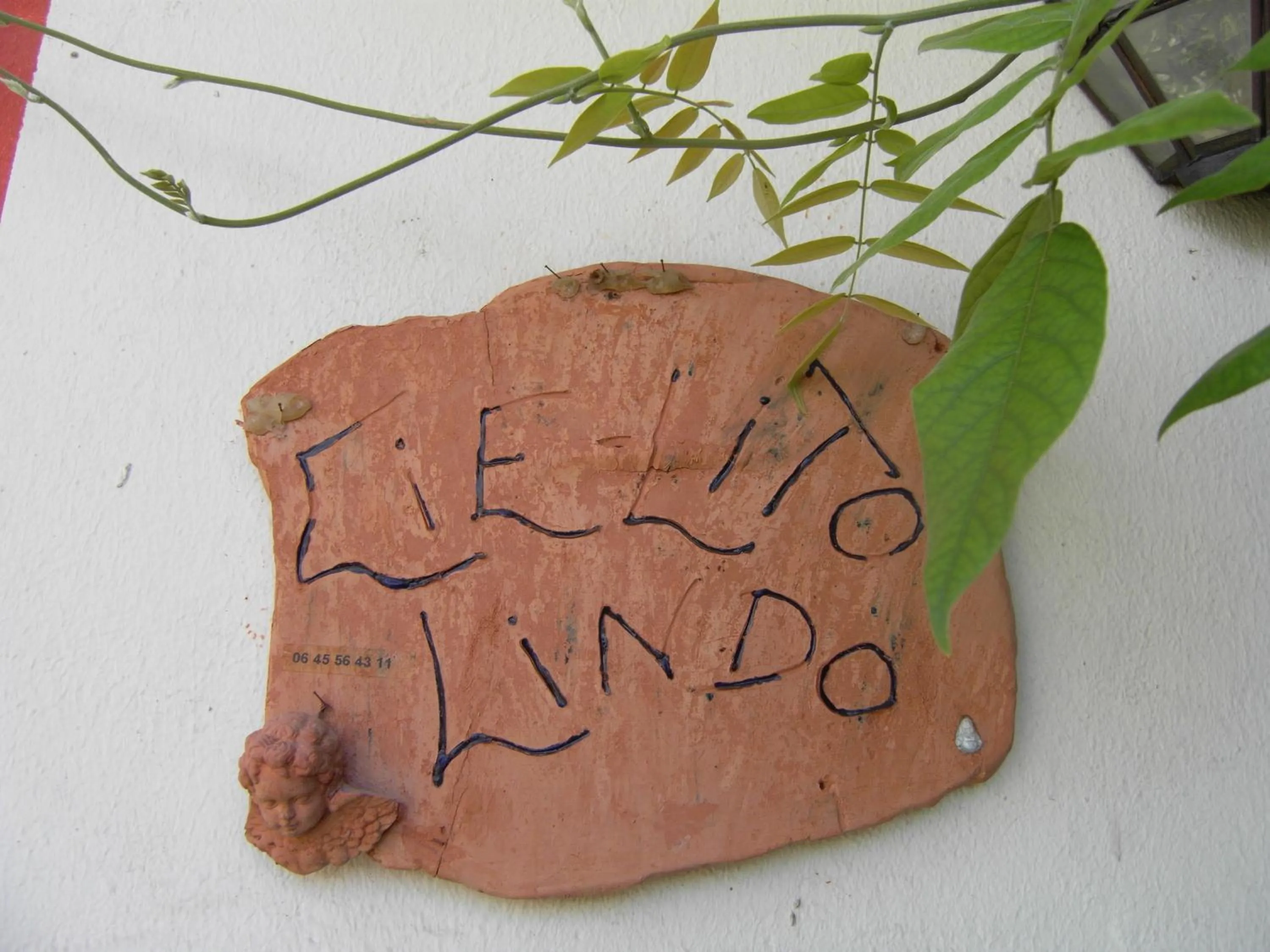 Logo/Certificate/Sign in Cielito Lindo