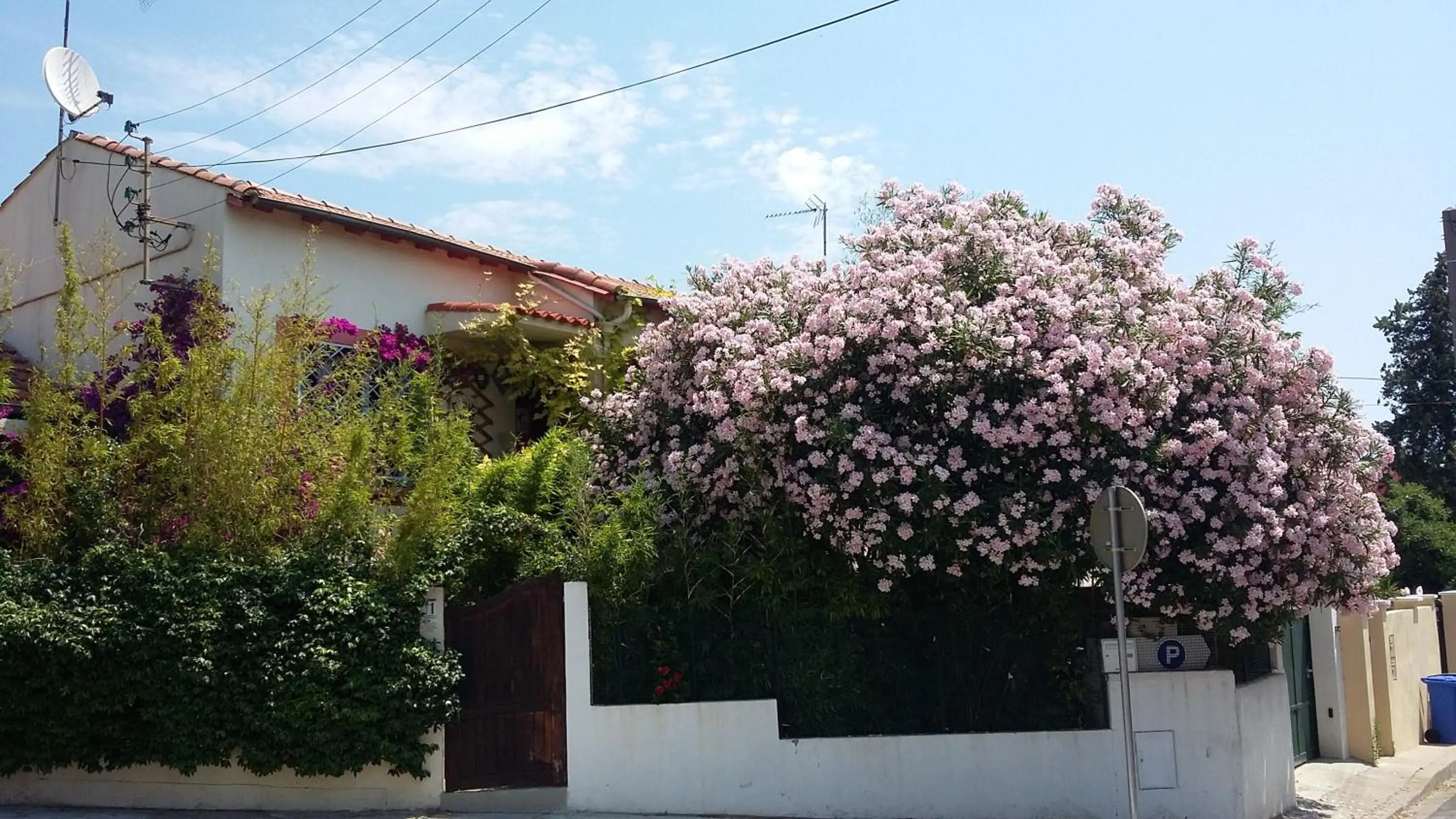Facade/entrance in Cielito Lindo