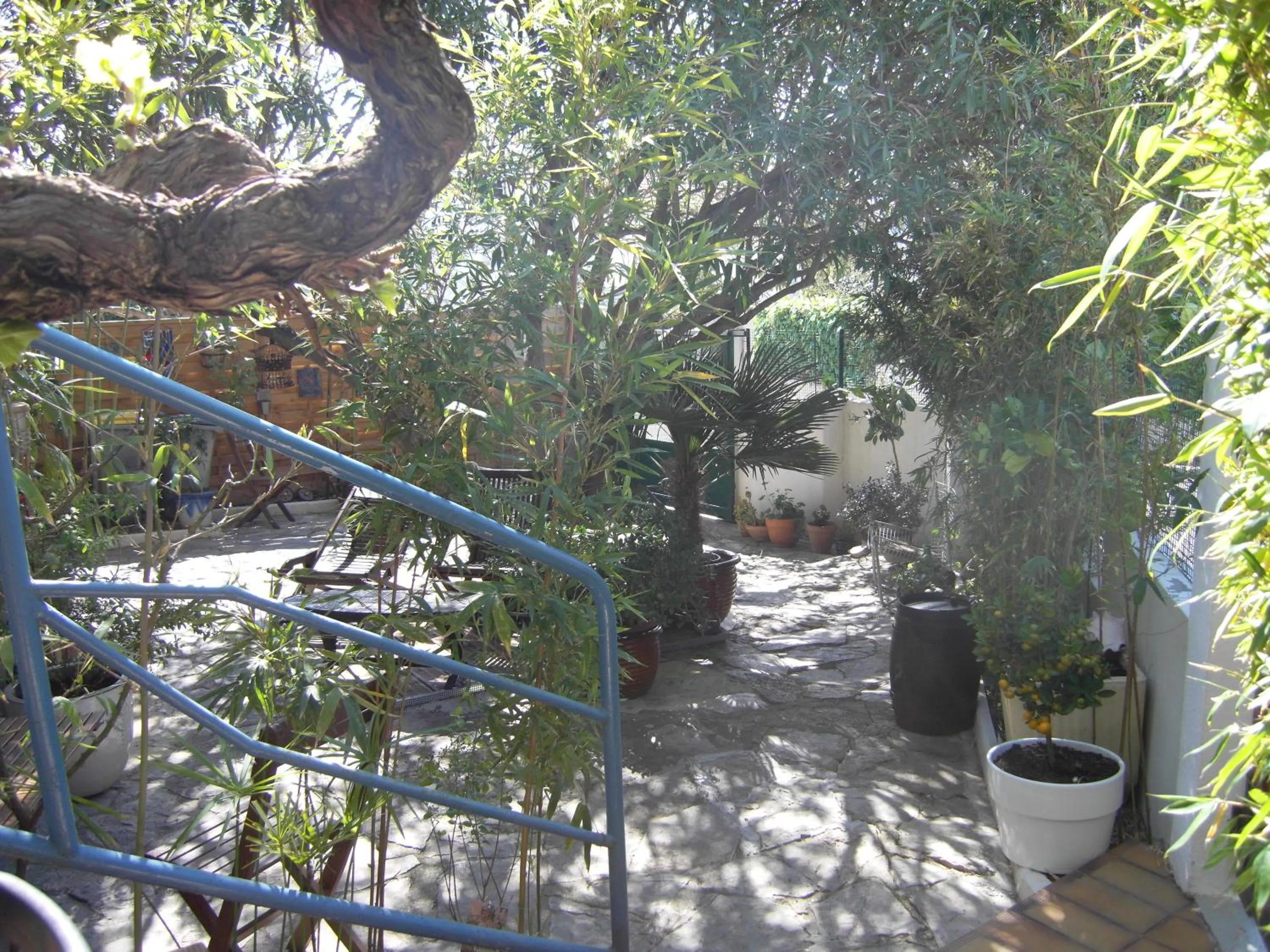 Garden in Cielito Lindo