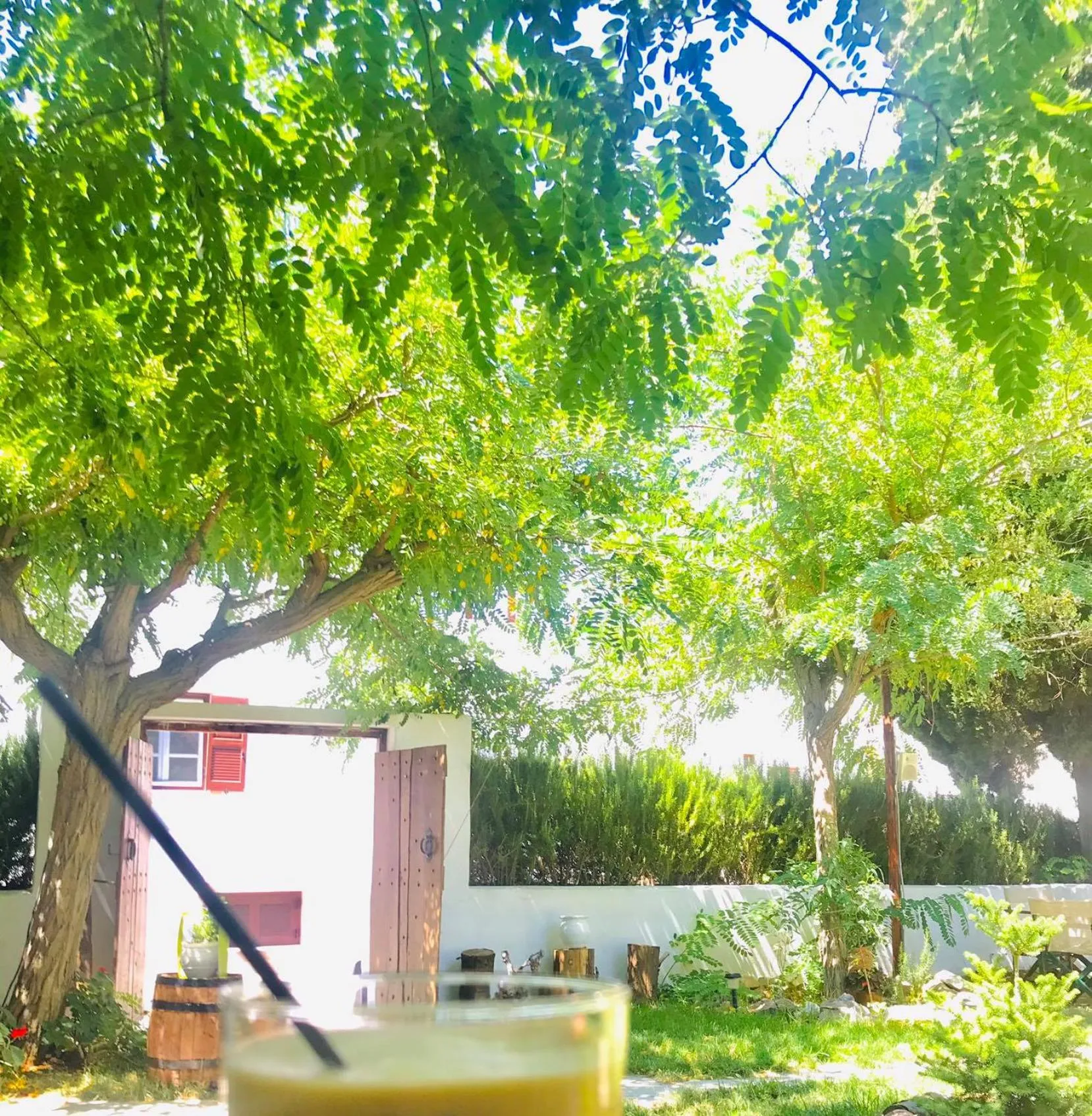 Restaurant/places to eat in Giannakis Filoxenia