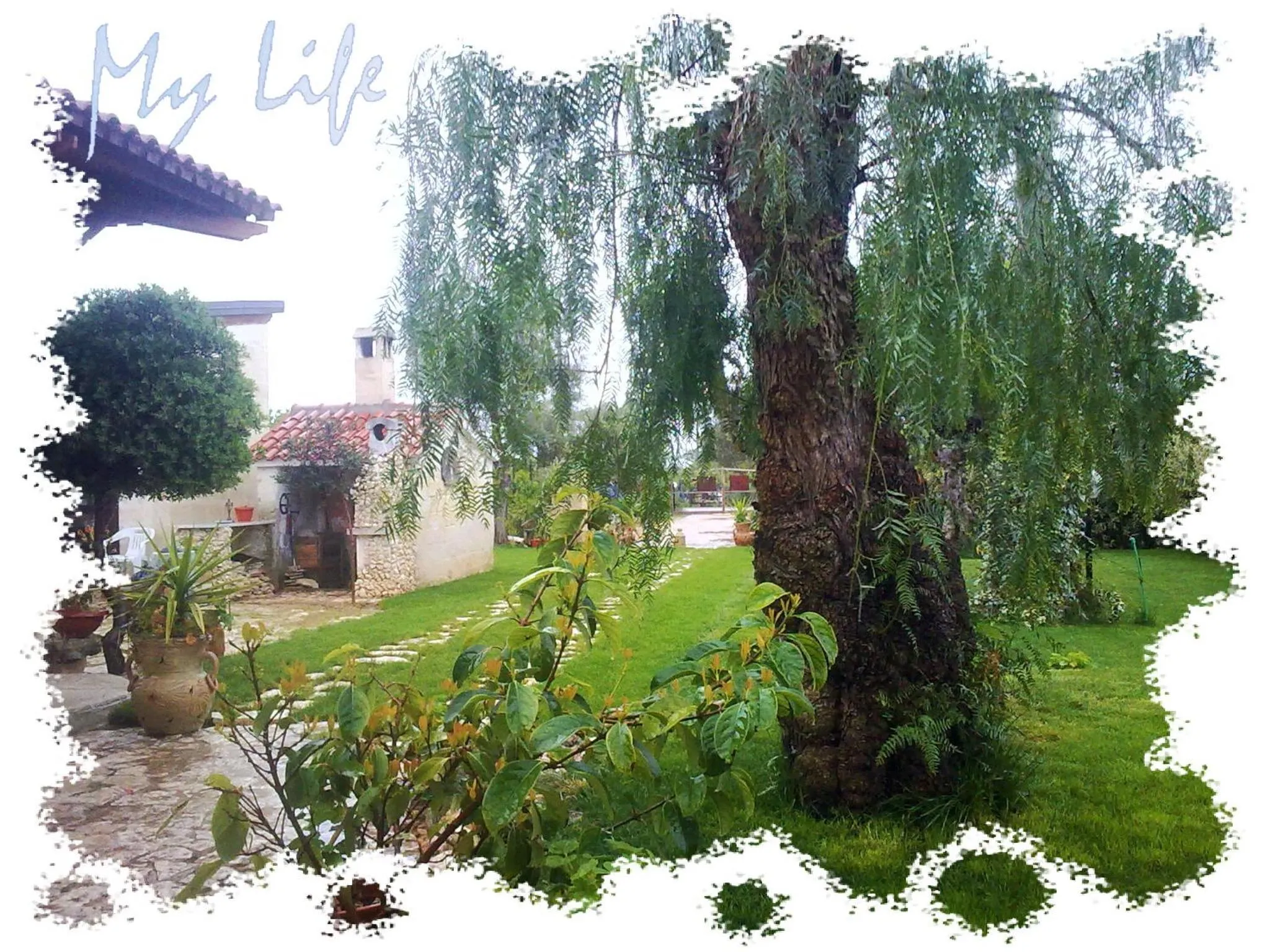 Garden view in MyLife B&B Country House
