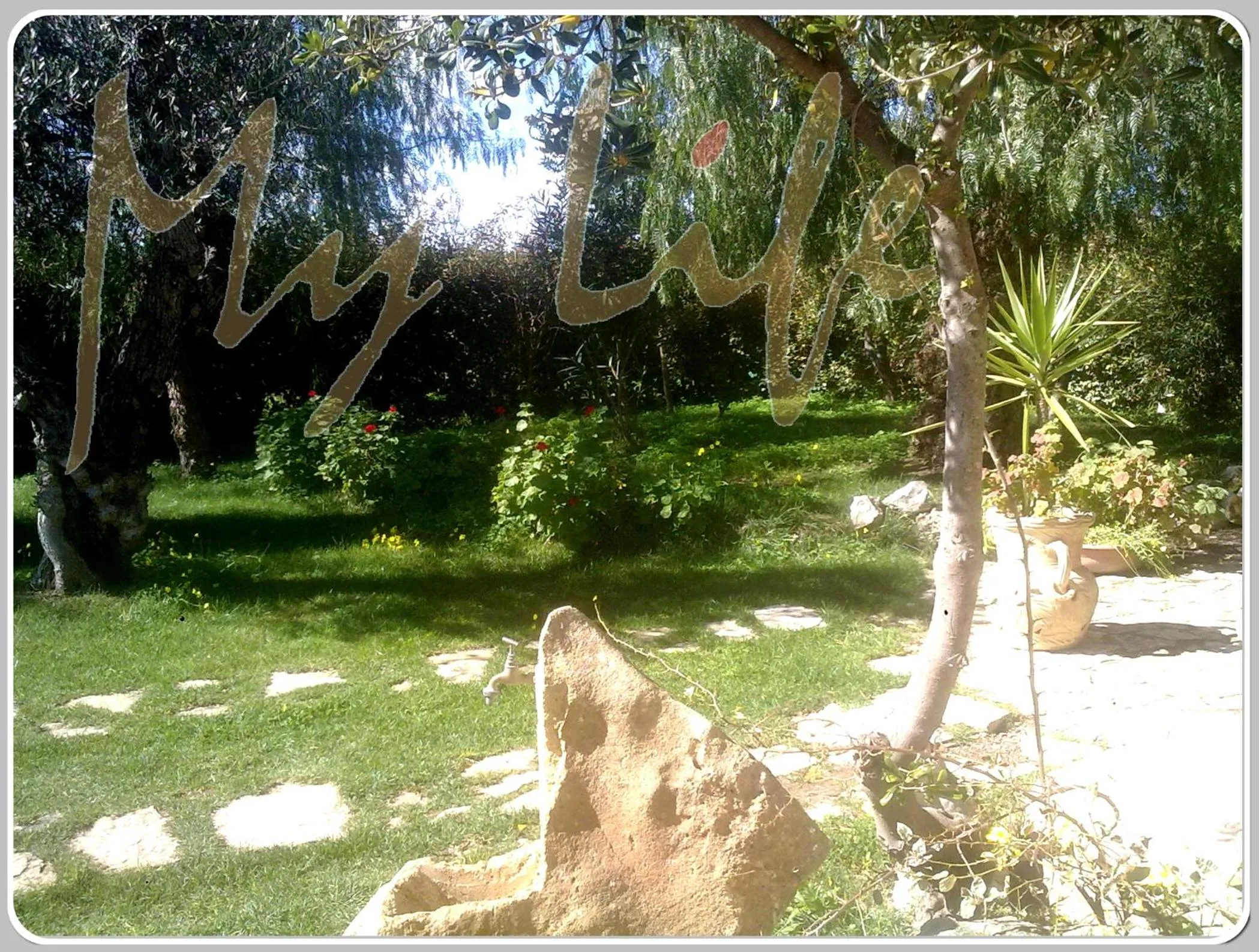 MyLife B&B Country House