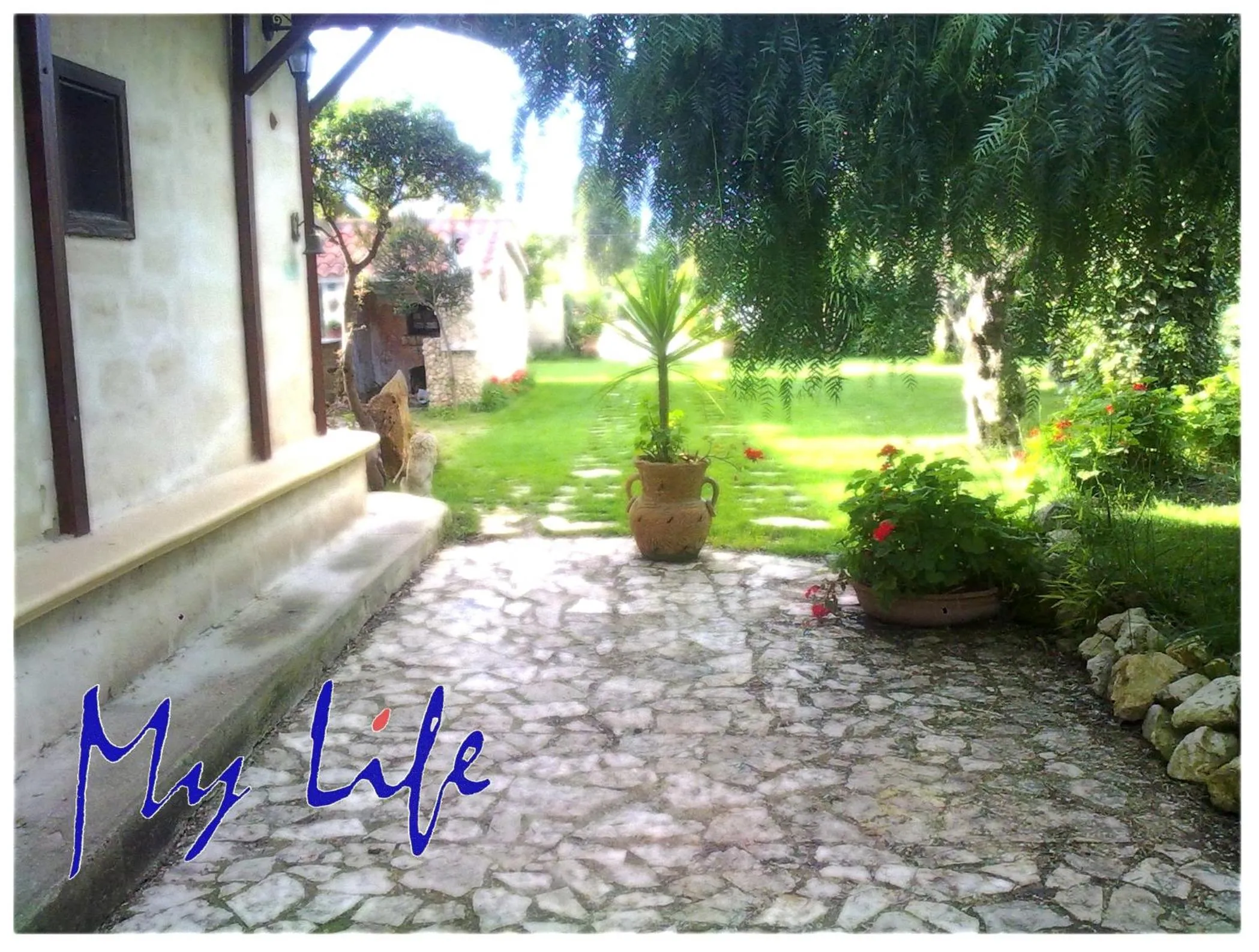 MyLife B&B Country House