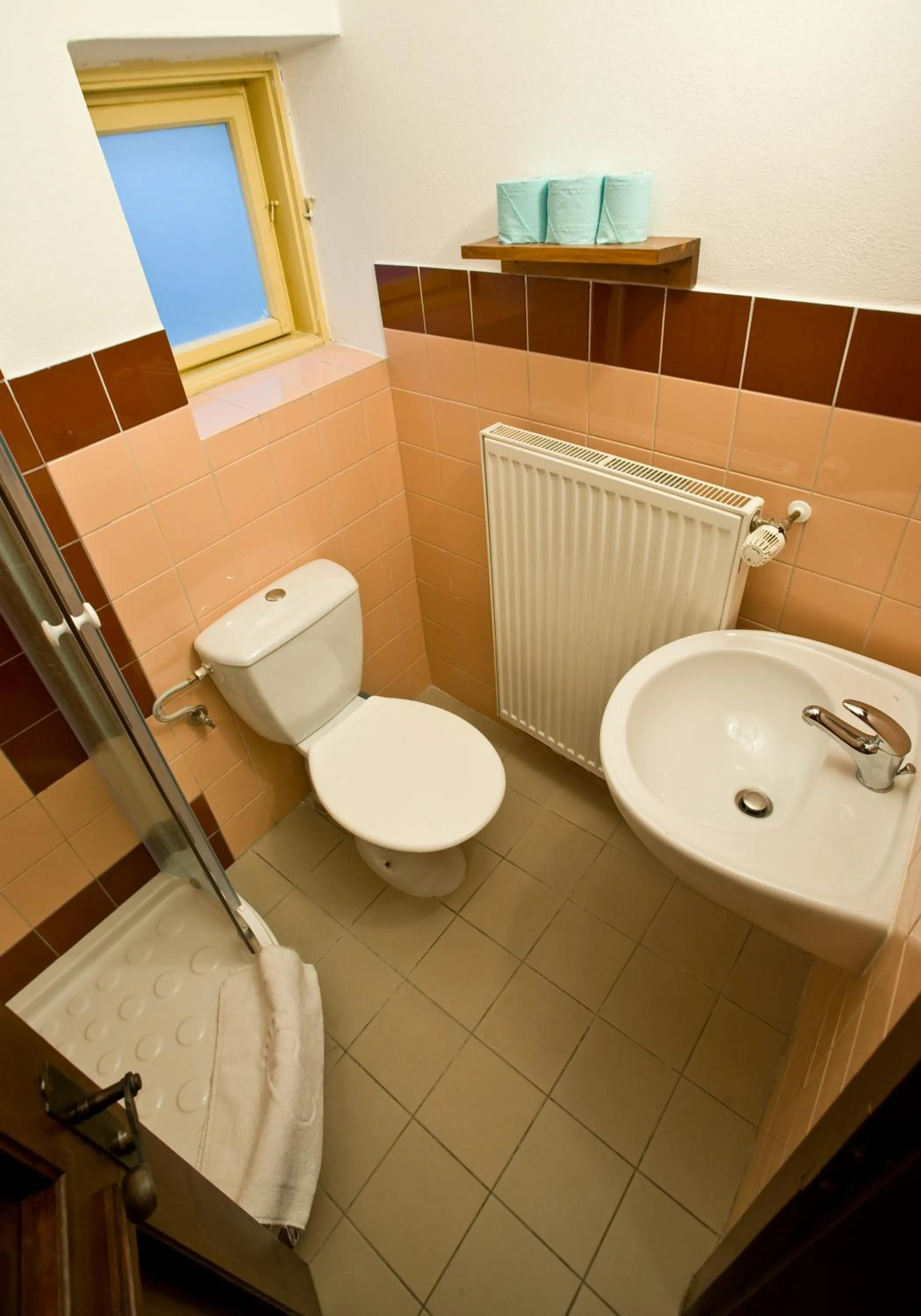 Bathroom in Hotel U Malého Vitka