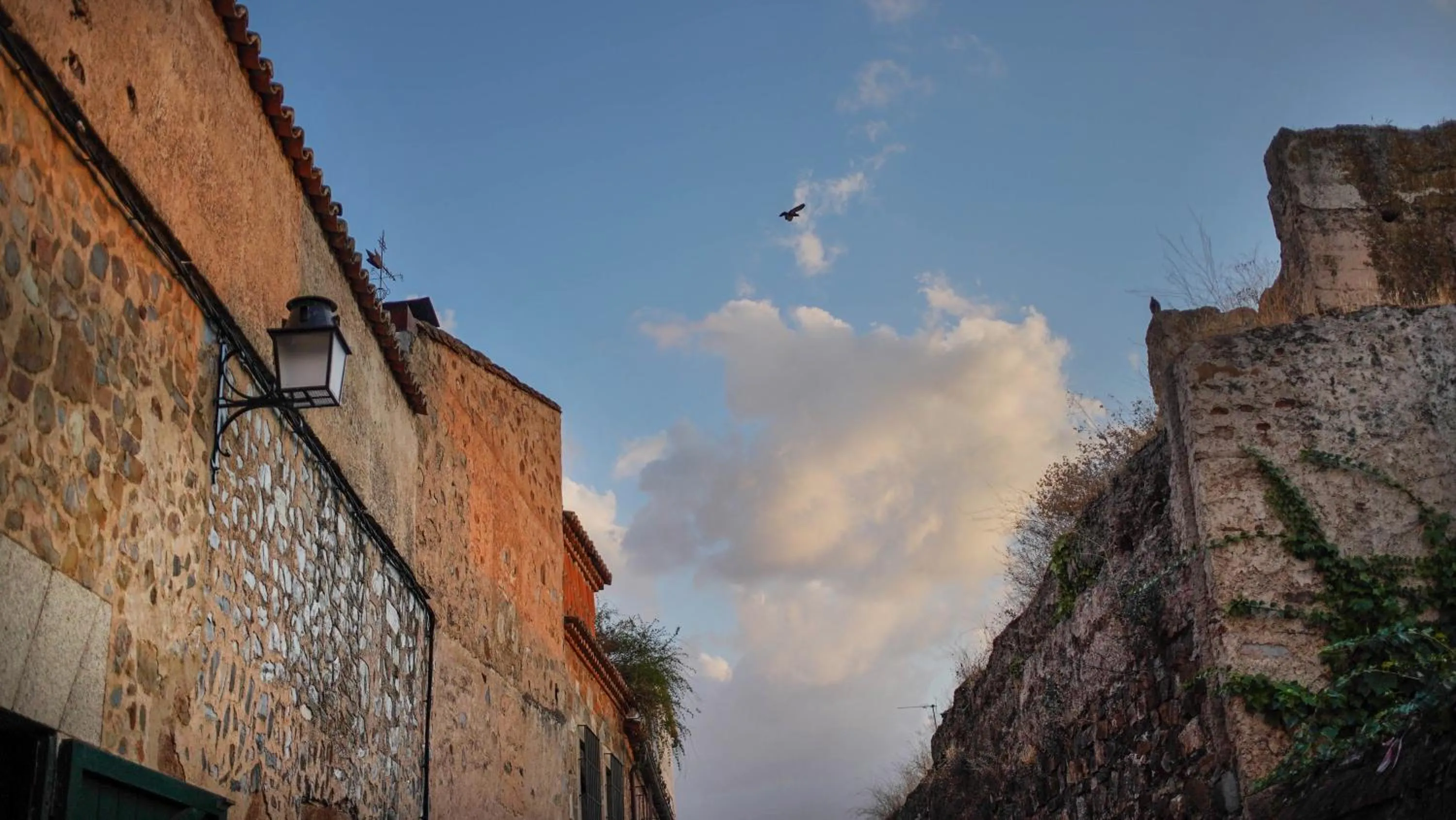 Nearby landmark in Apartamentos Soho Boutique Plaza Mayor Caceres