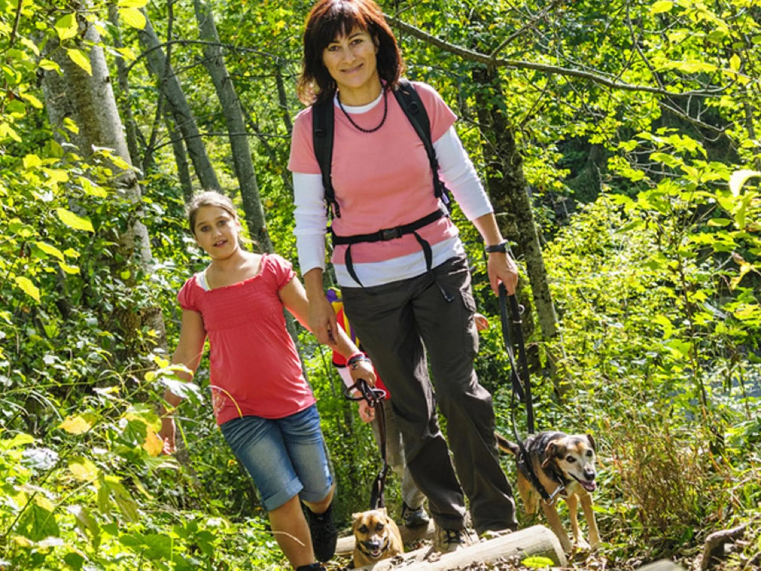 Hiking in Moselstern Hotel Zum guten Onkel