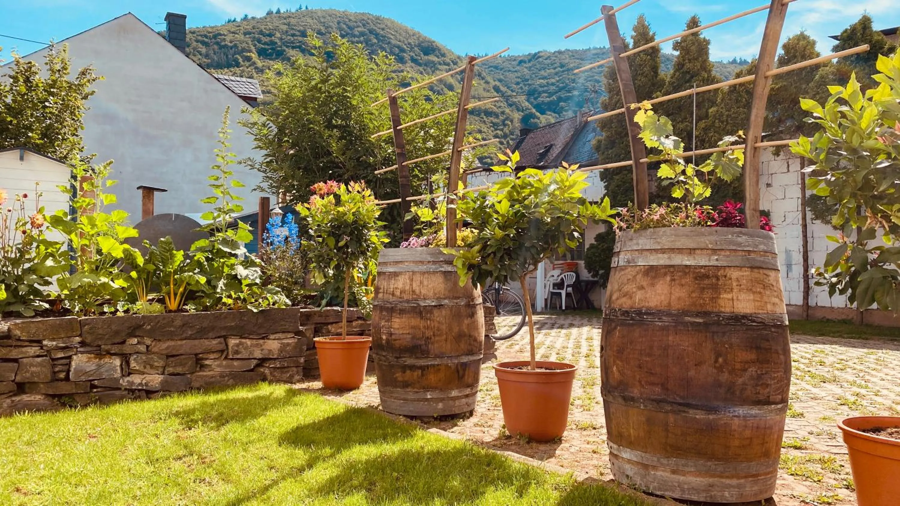 Property building in Moselstern-Hotel "Weinhaus Fuhrmann"