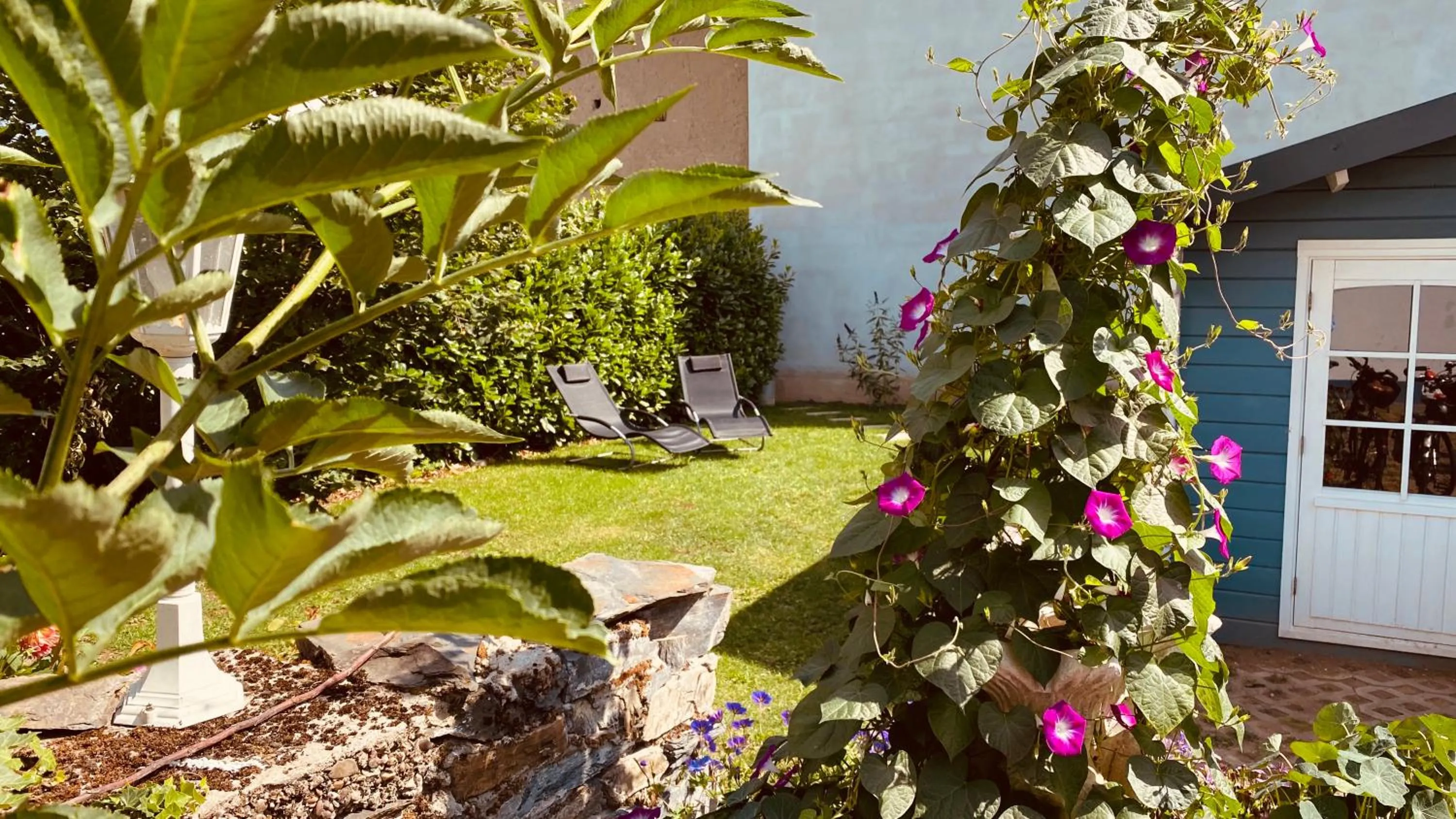 Patio in Moselstern-Hotel "Weinhaus Fuhrmann"