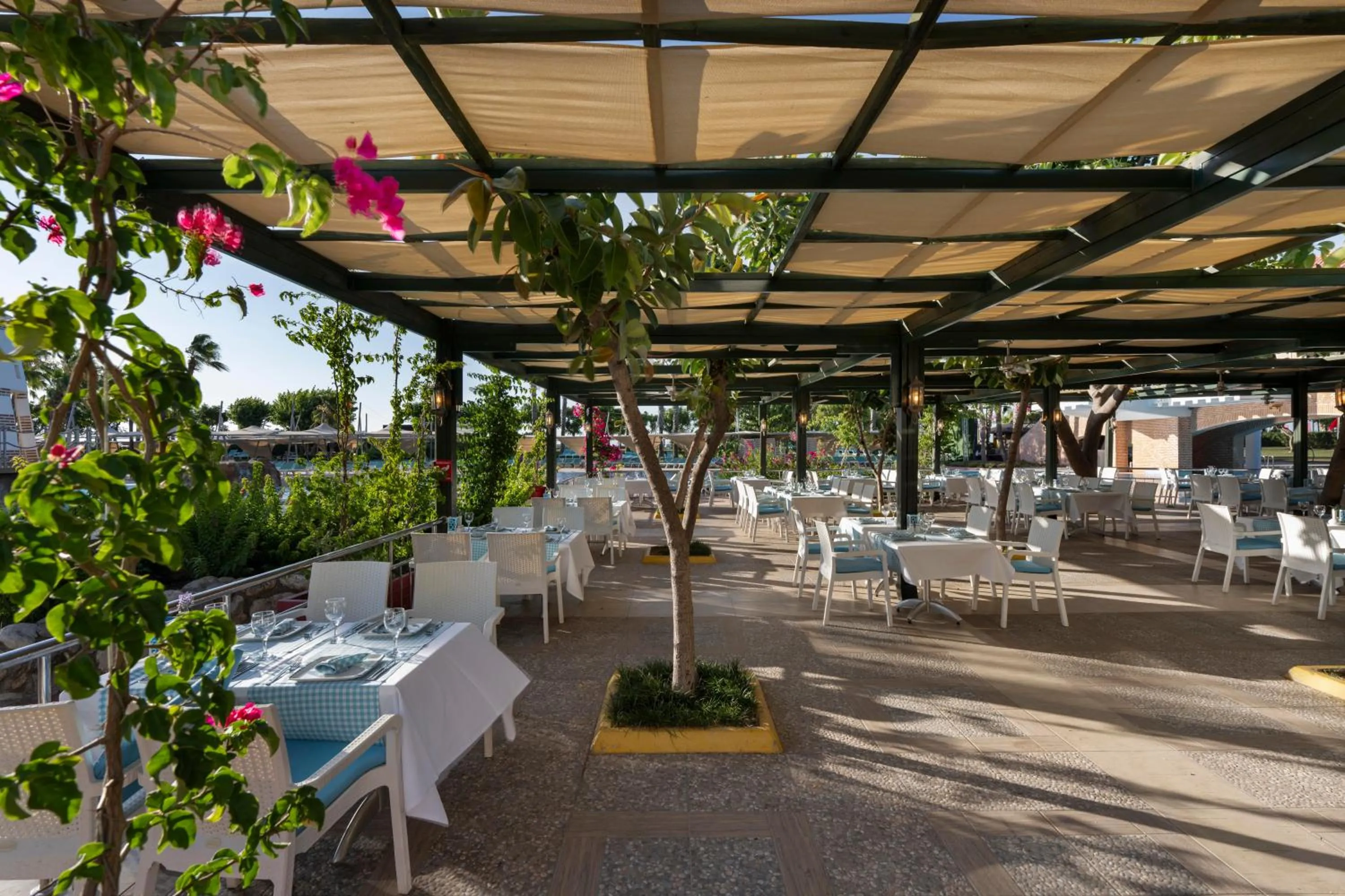 Restaurant/places to eat in Limak Limra Hotel & Resort Kemer - Kids Concept