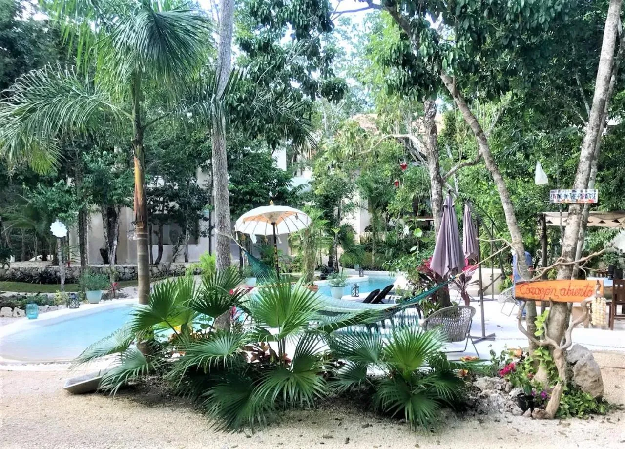 Garden in Cachito de Cielo Luxury Jungle Lodge