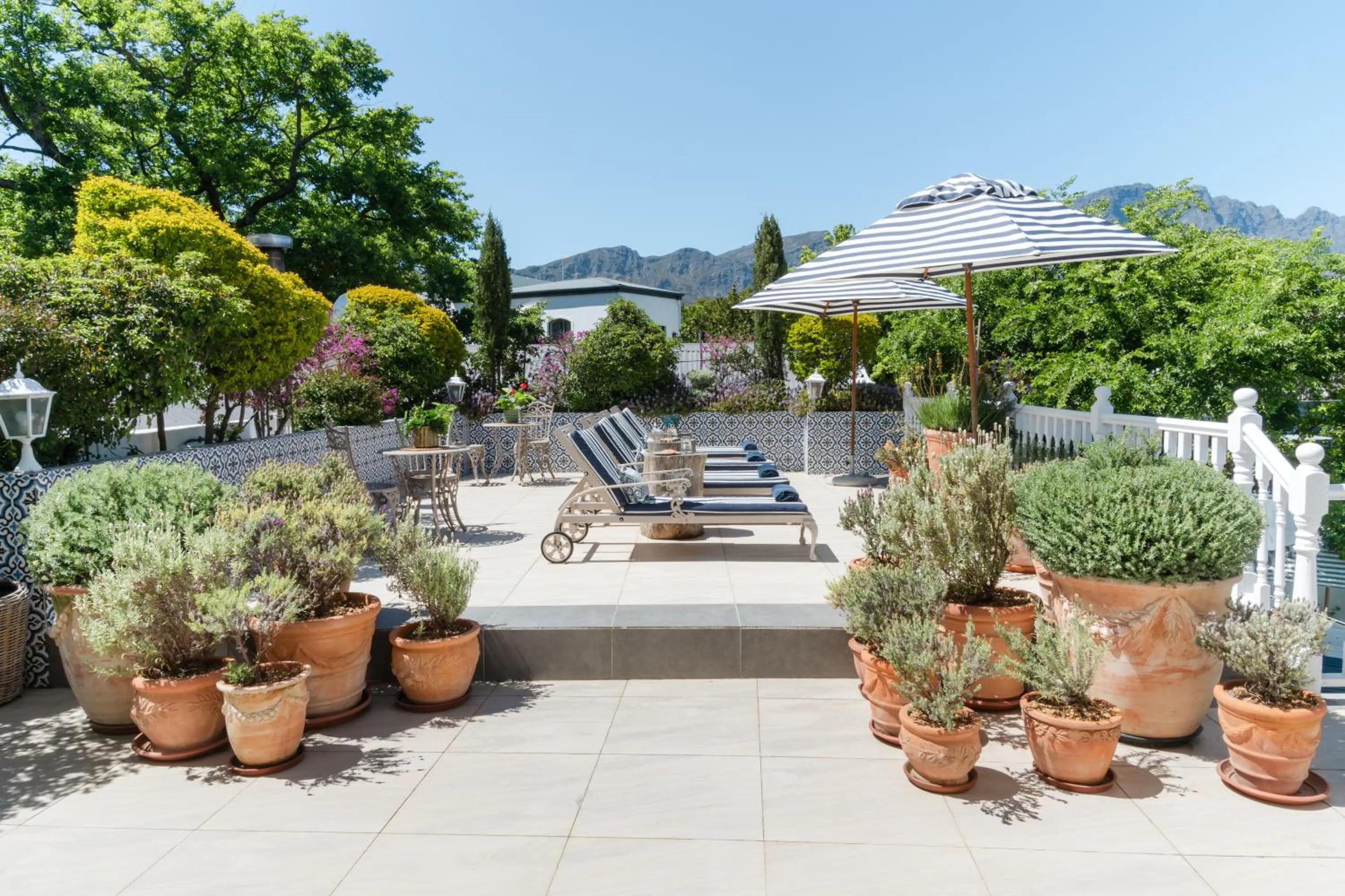 Last Word Franschhoek