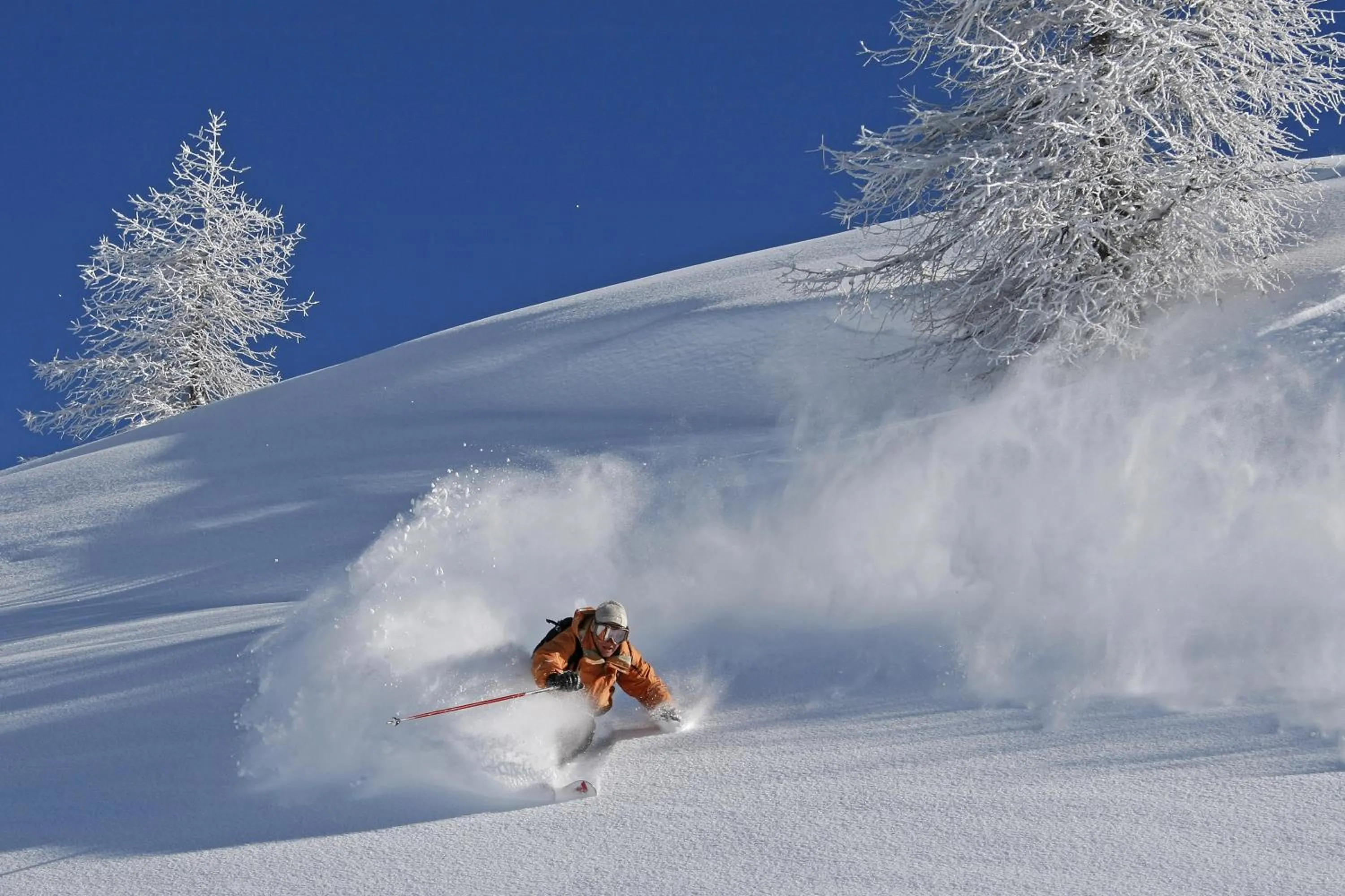 Ski School in Chalet Abacus
