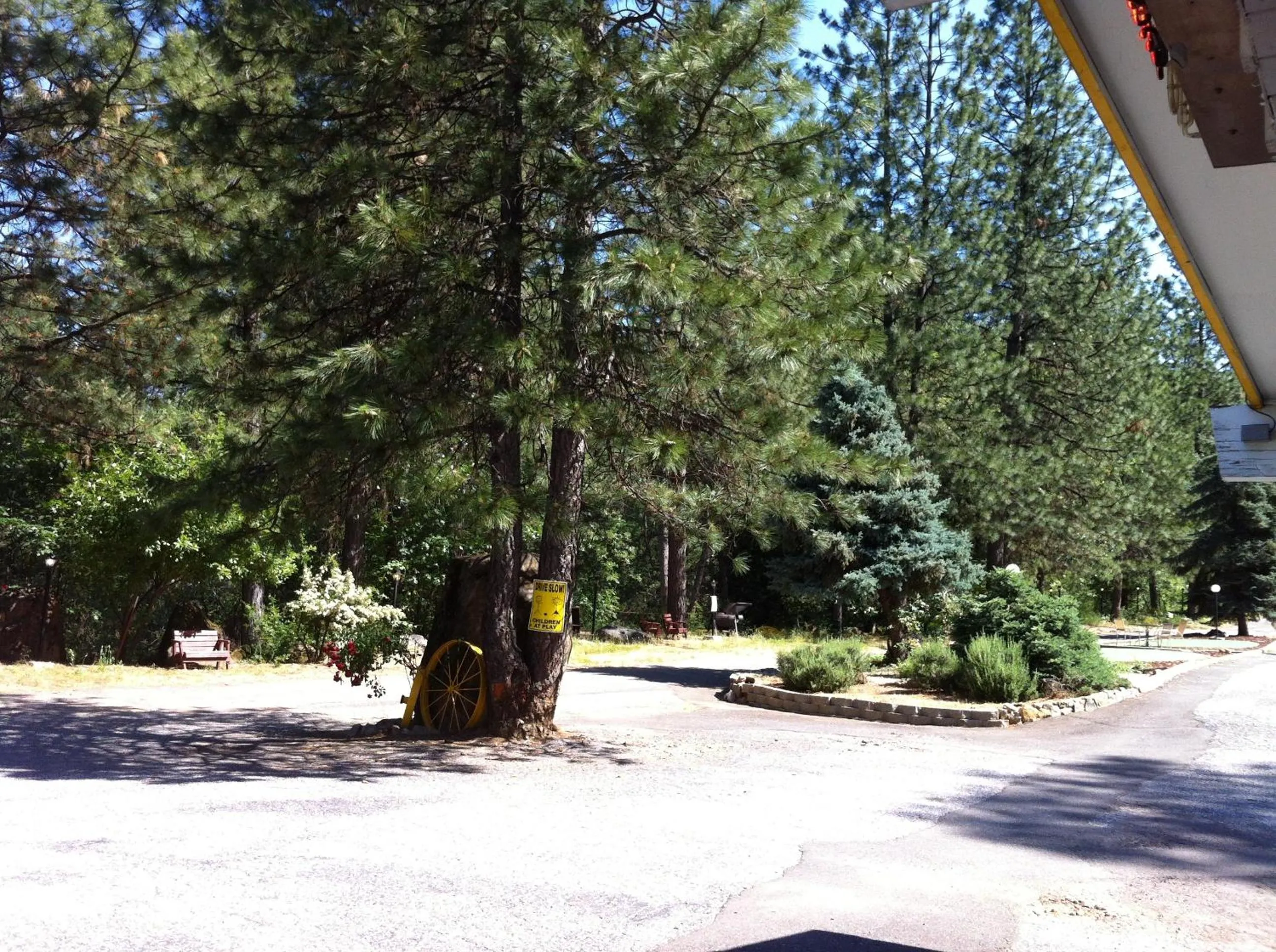 Other in Golden Chain Motel