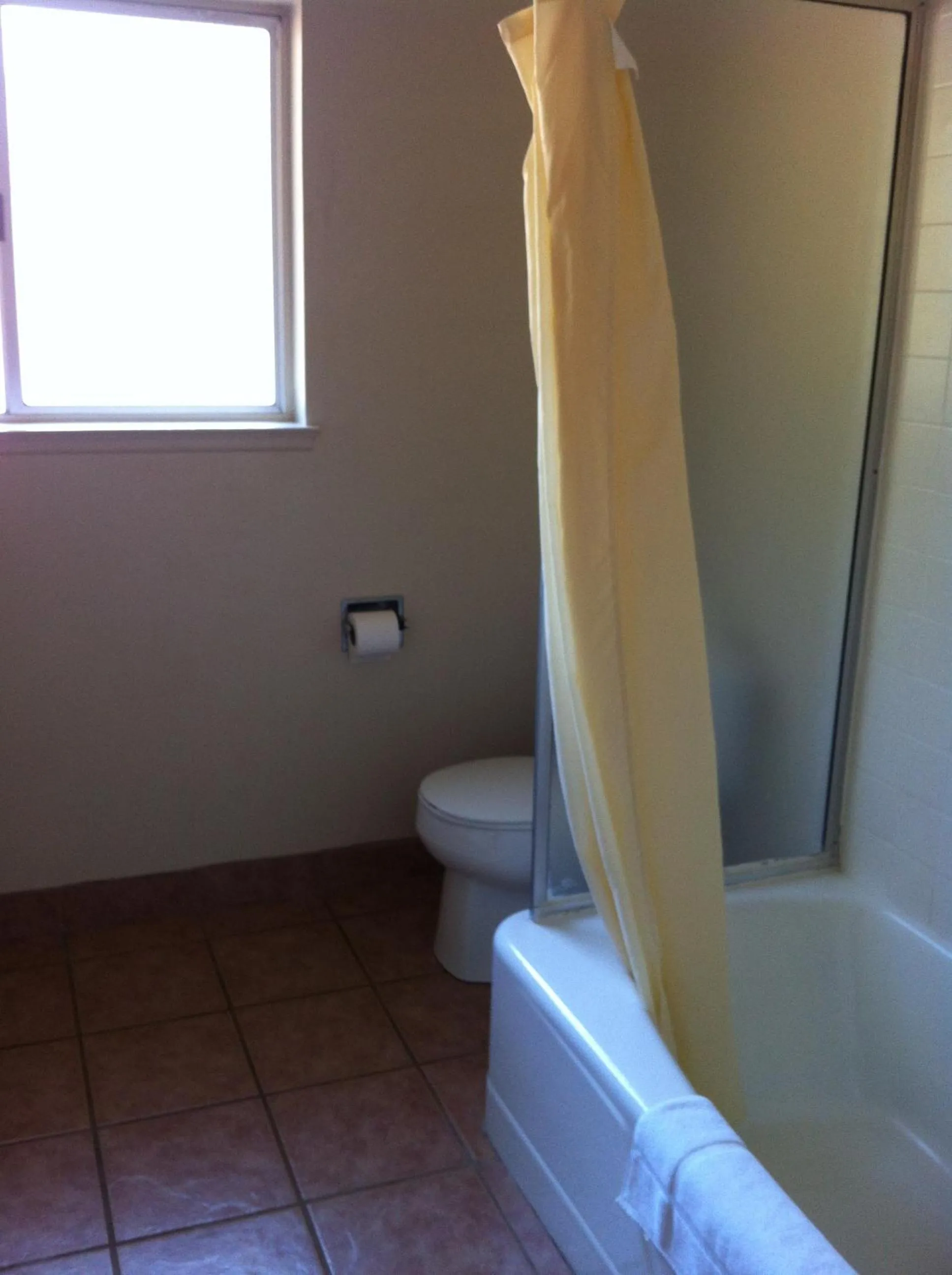 Toilet in Golden Chain Motel