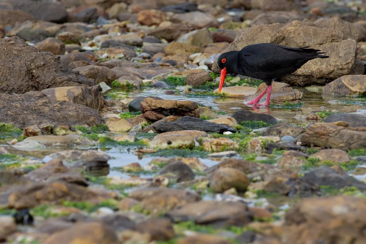 Off site in Aire del Mar Guest House