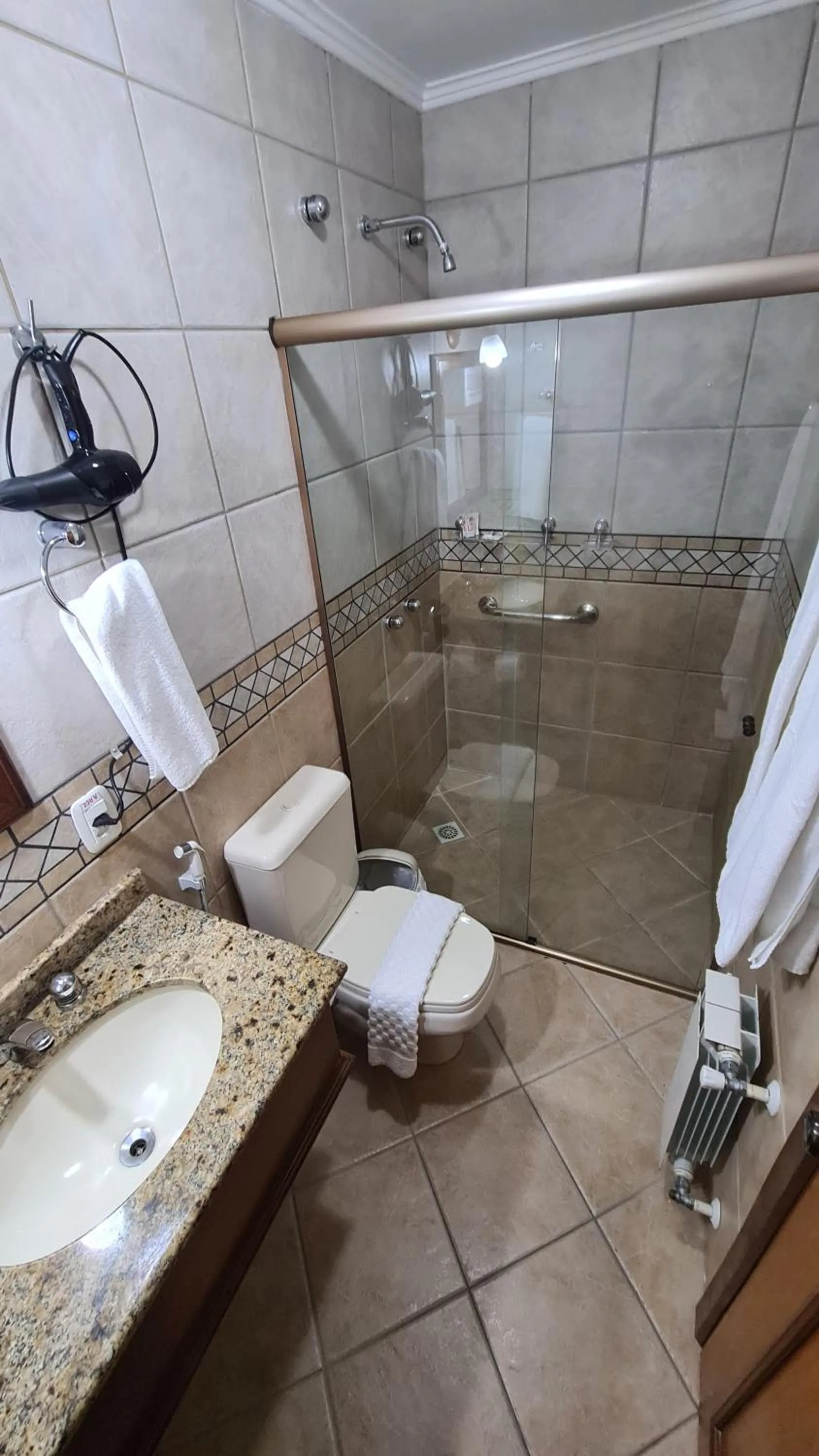 Toilet in Hotel Azaleia